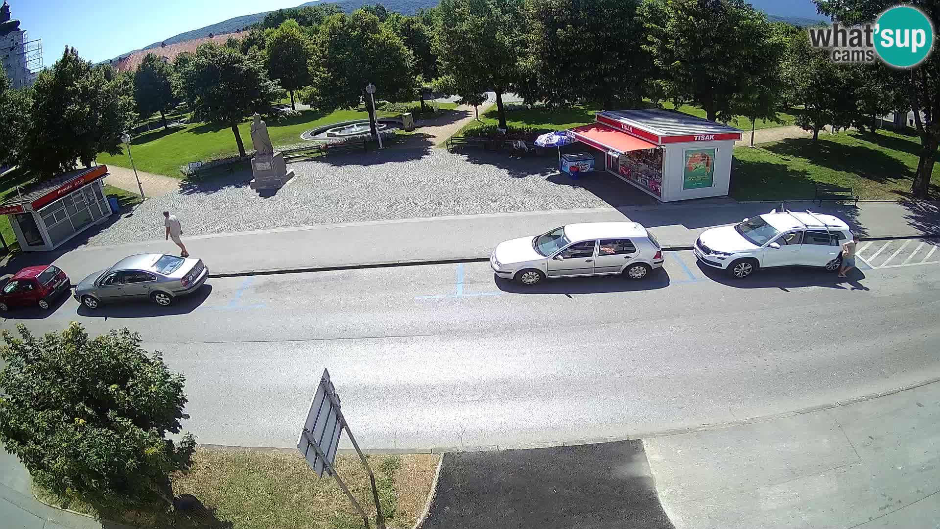 Ogulin Livecam