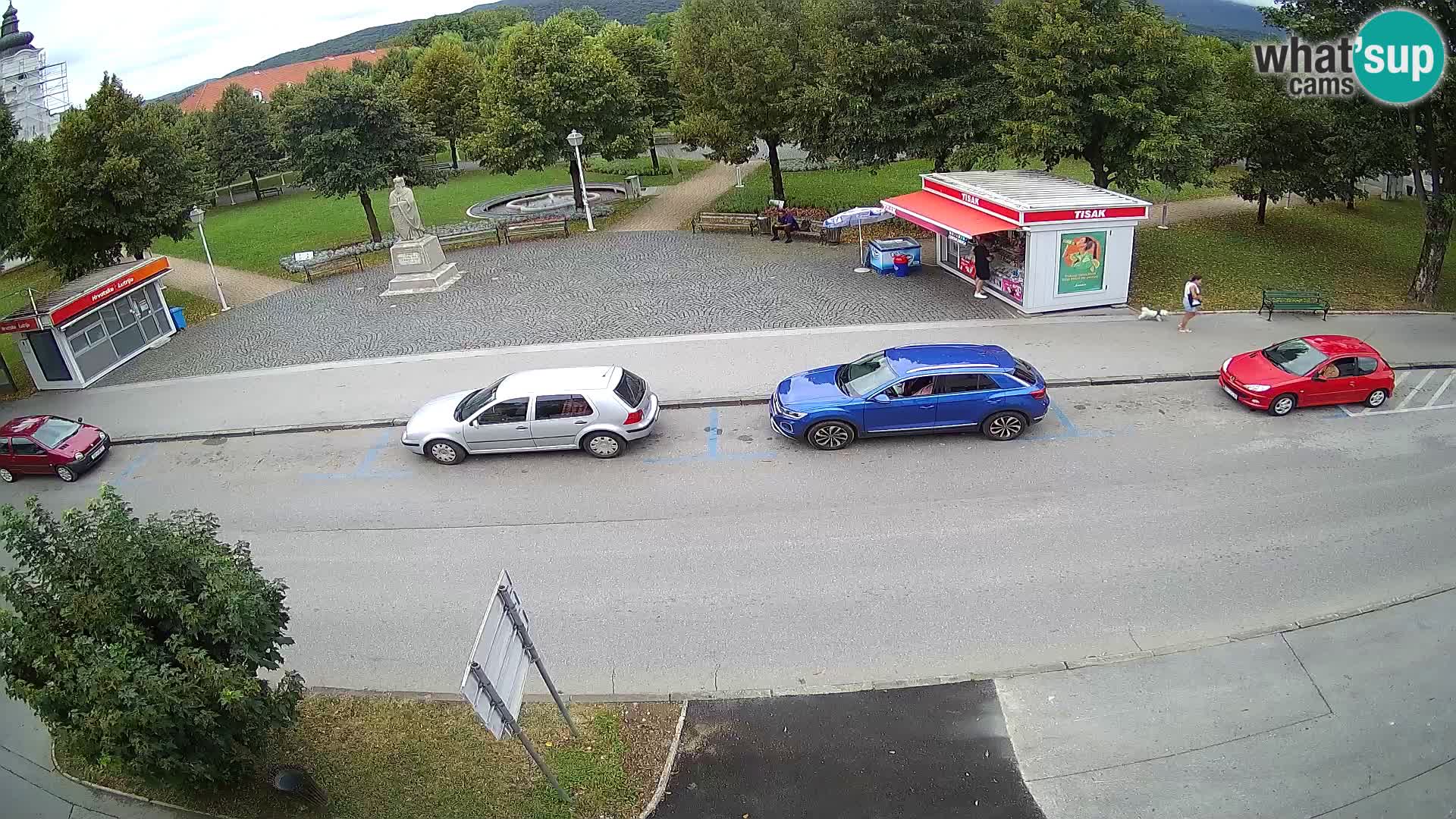 Ogulin Livecam