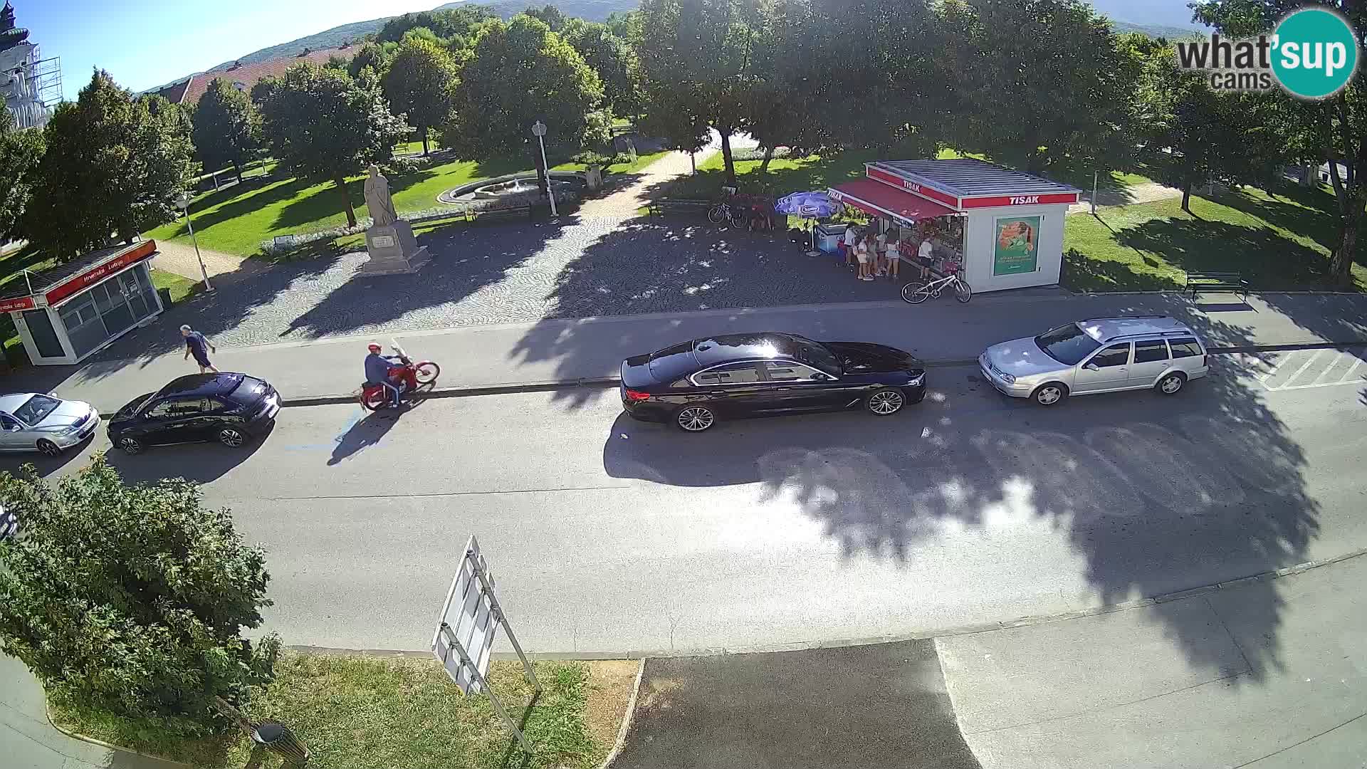Ogulin Livecam