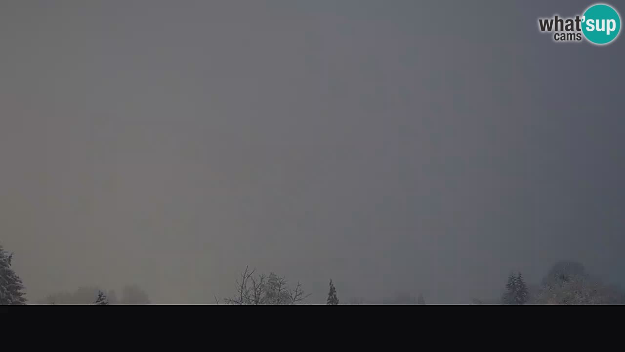 Ogulin Livecam panorama