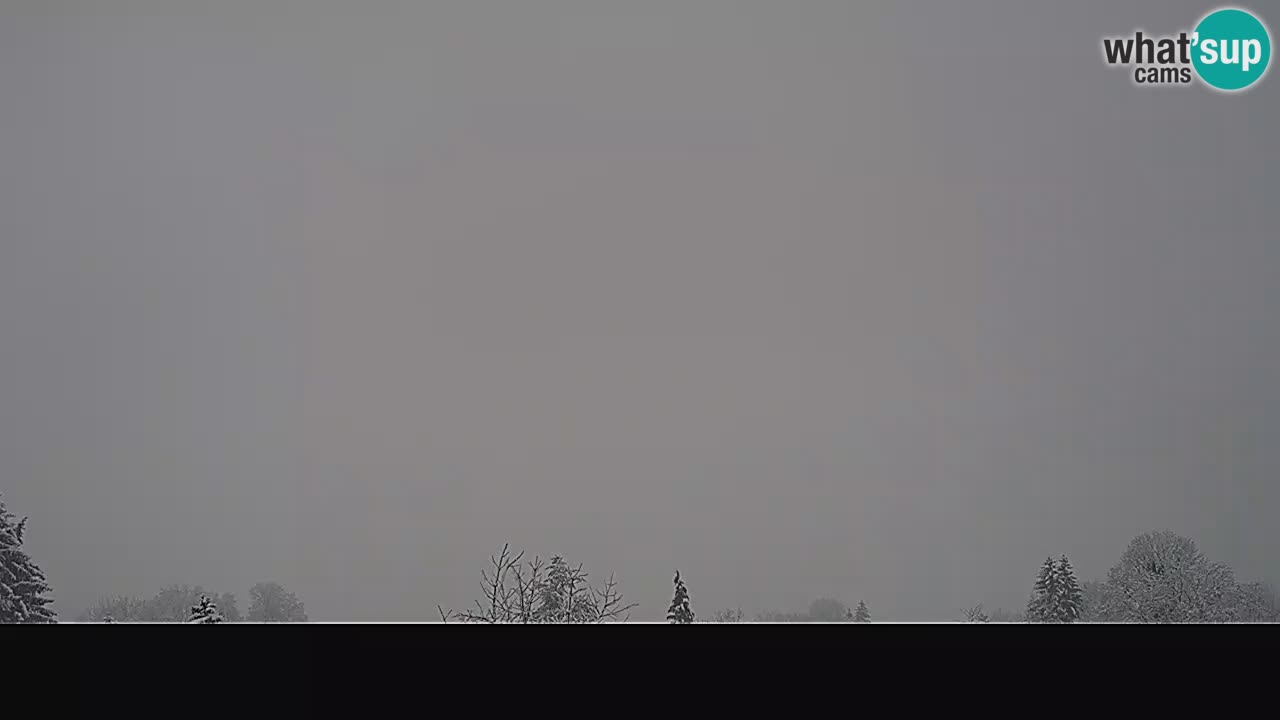 Ogulin Livecam panorama