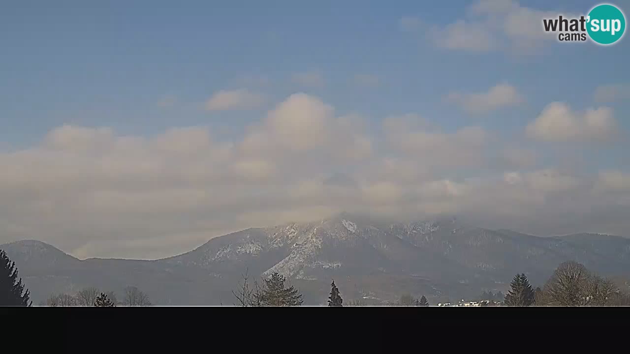 Ogulin Livecam panorama