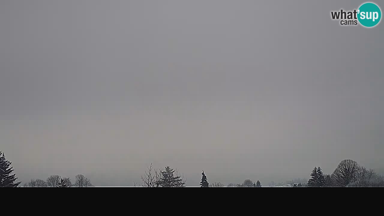 Ogulin Livecam panorama