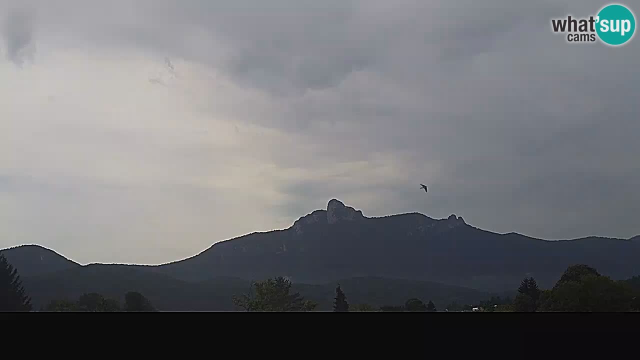 Panorama Ogulin camera en vivo