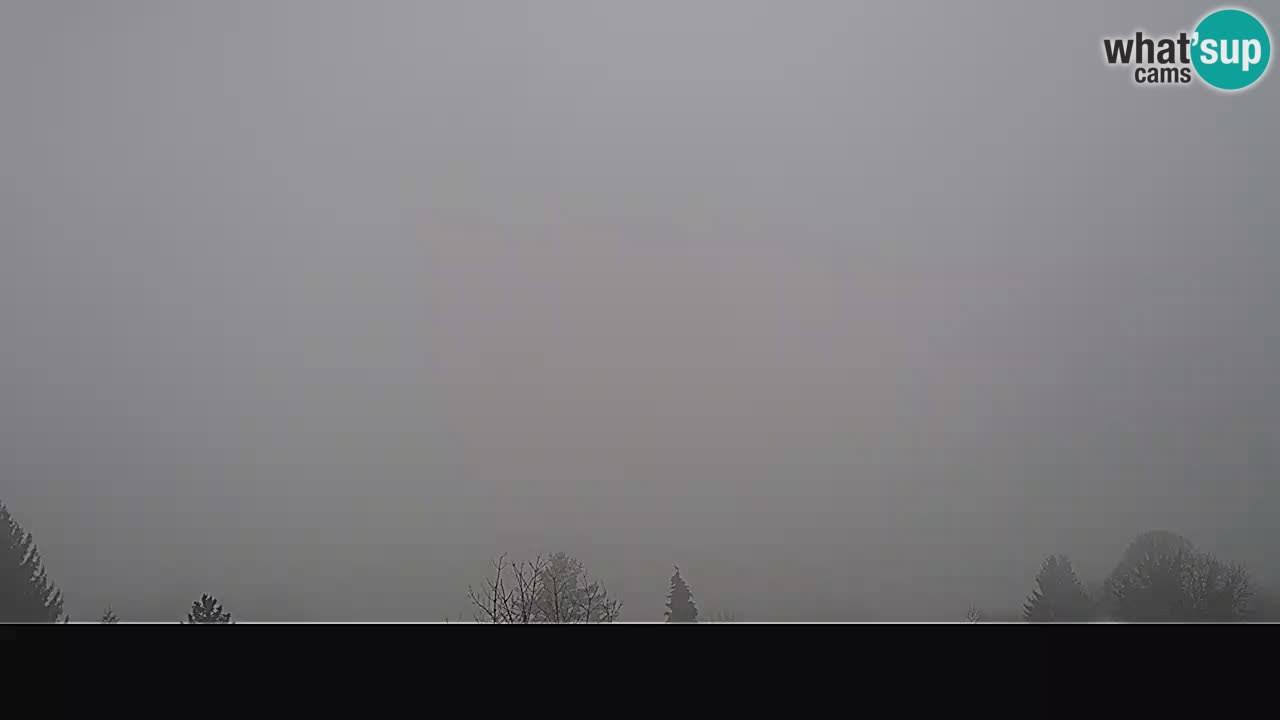 Panorama Ogulin camera en vivo