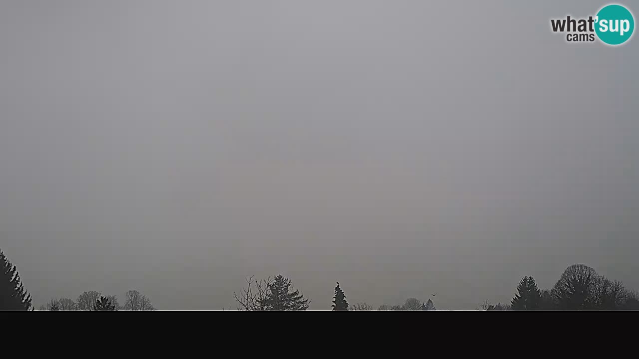 Panorama Ogulin camera en vivo