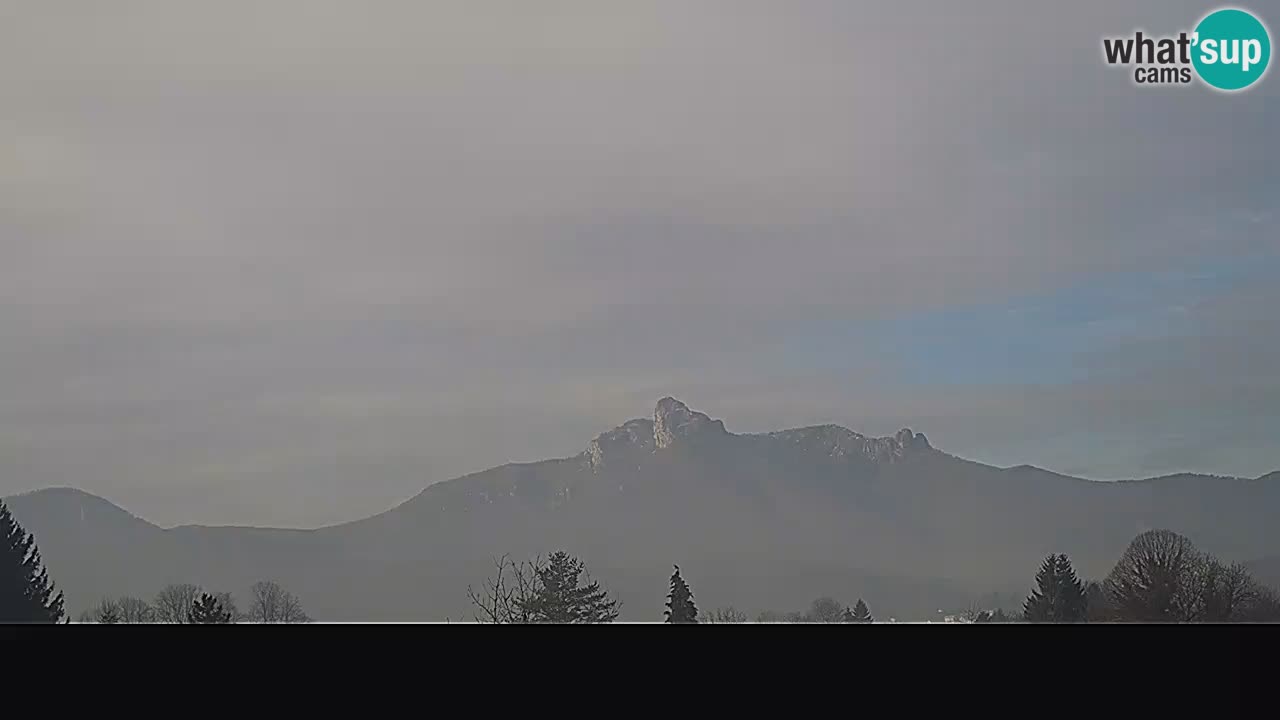 Panorama Ogulin camera en vivo