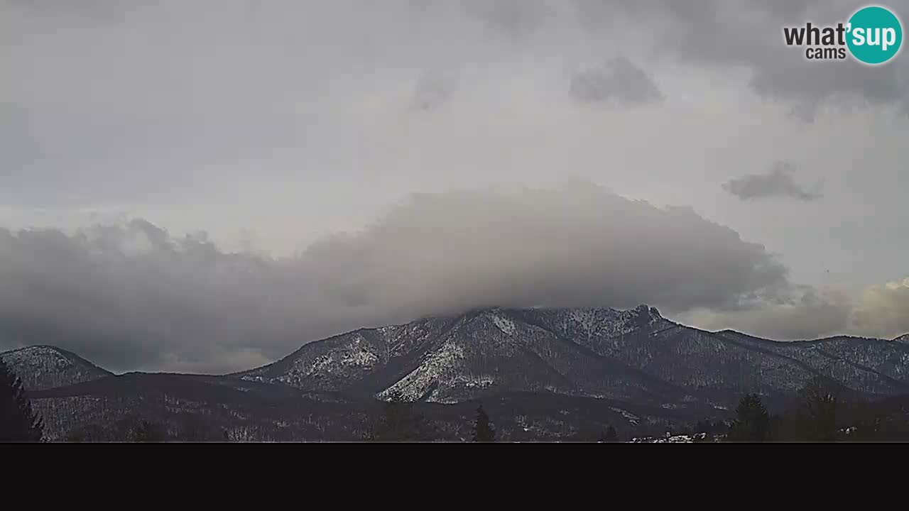 Panorama Ogulin camera en vivo