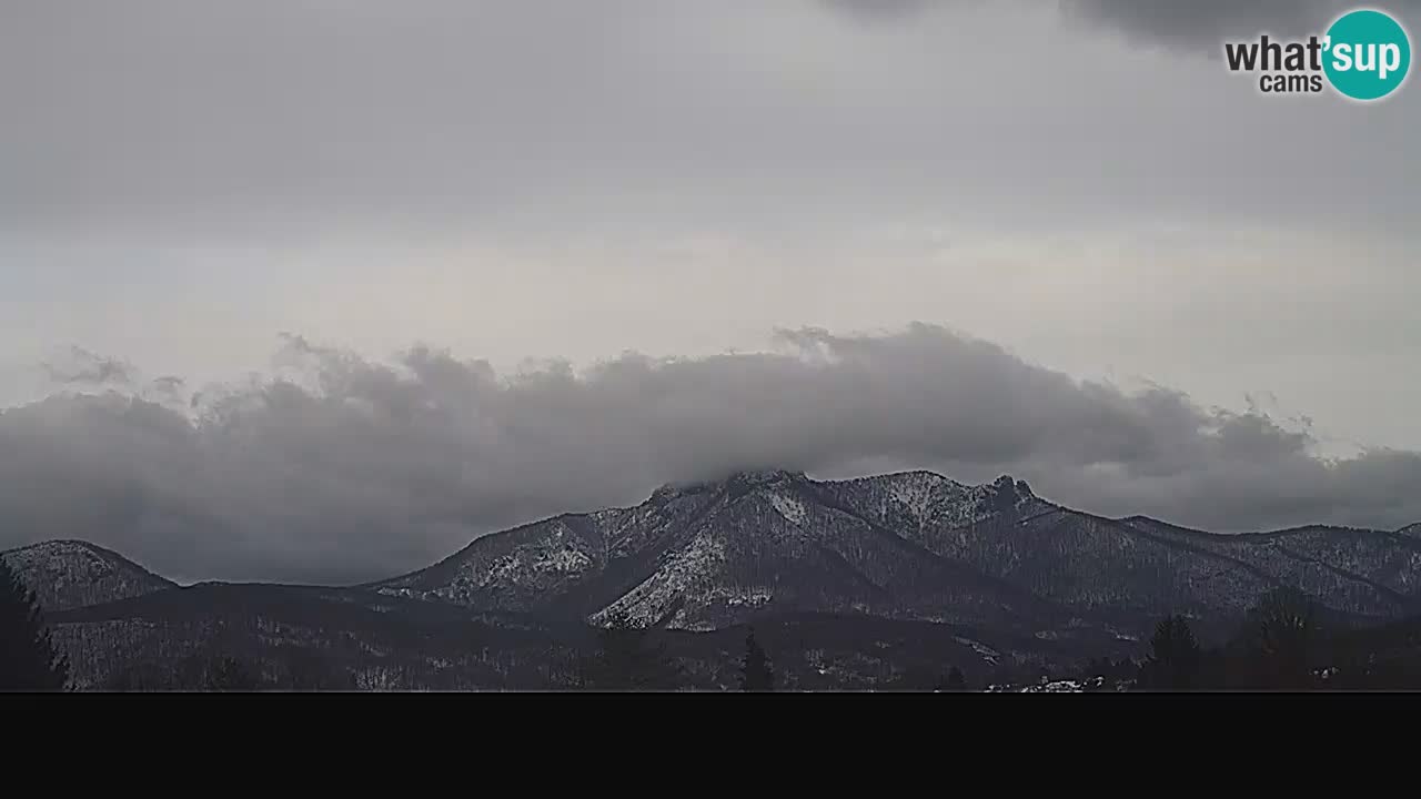 Panorama Ogulin camera en vivo