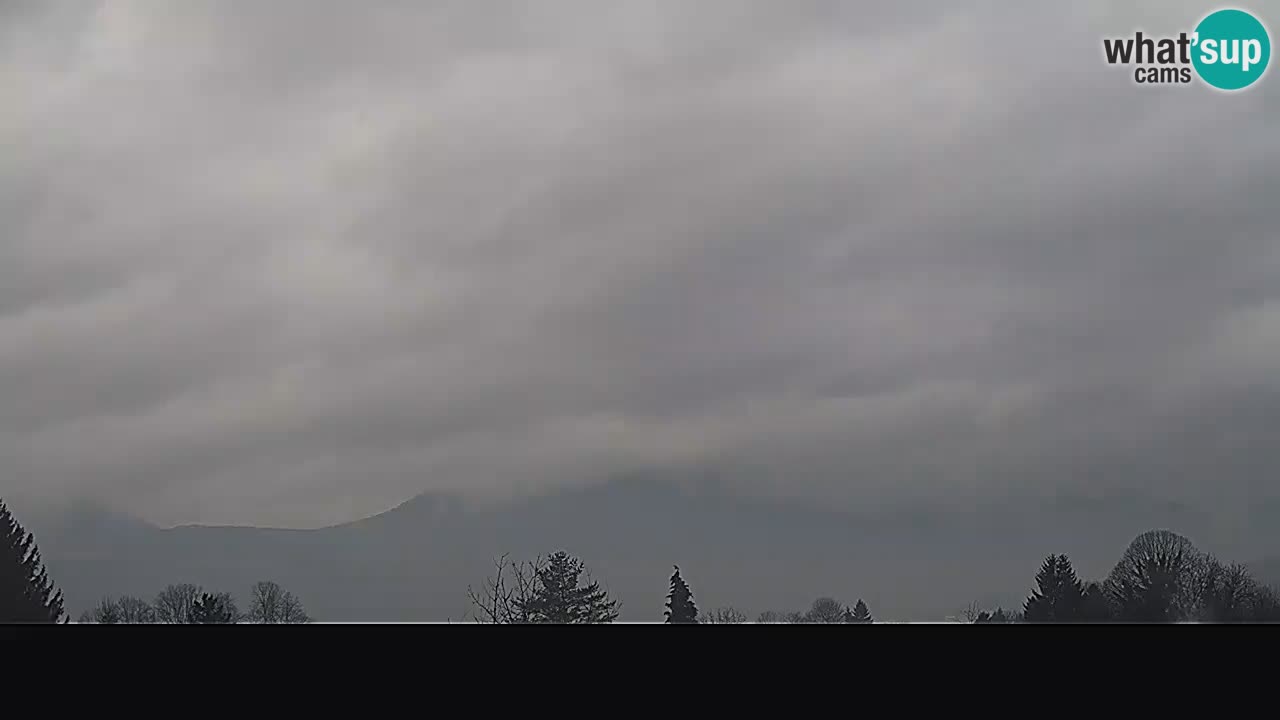 Ogulin Livecam panorama
