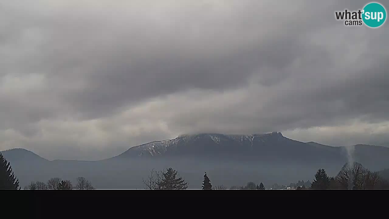 Ogulin Livecam panorama