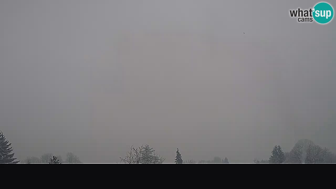 Panorama Ogulin camera en vivo