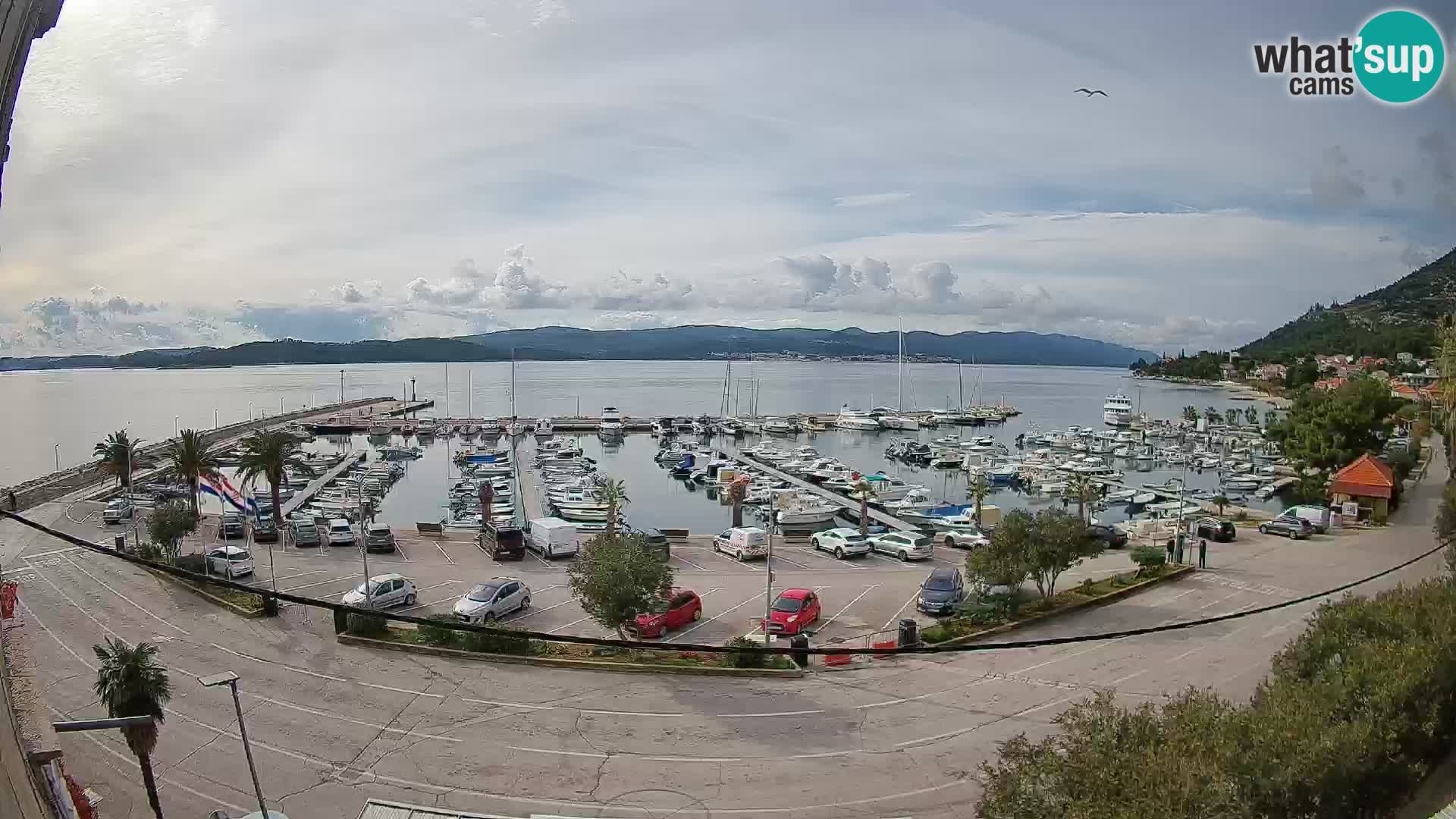 Webcam Sabbioncello Riva – Traghetto per Curzola in diretta