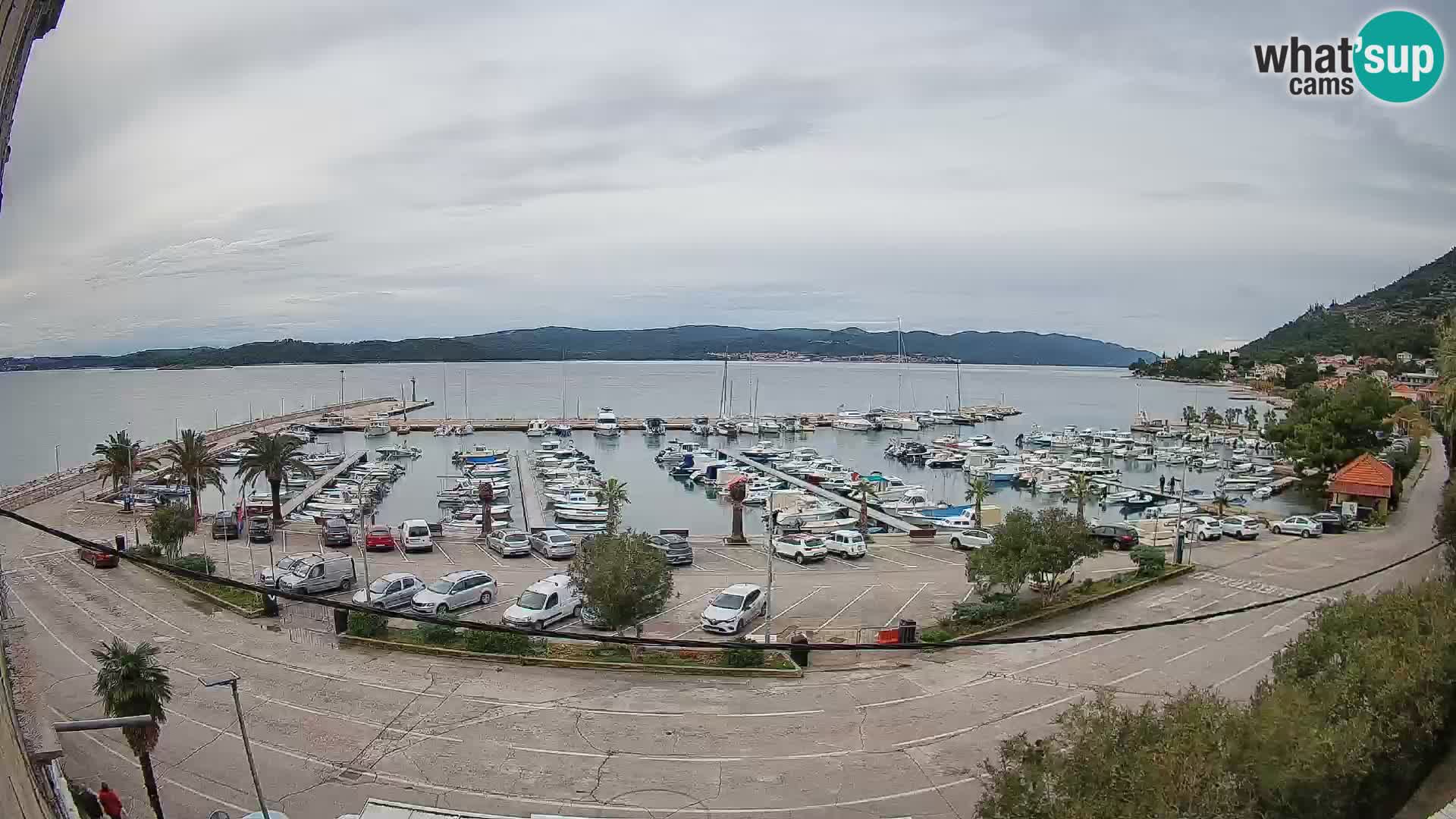 Webcam Orebić Riva – Ferry a Korčula en vivo