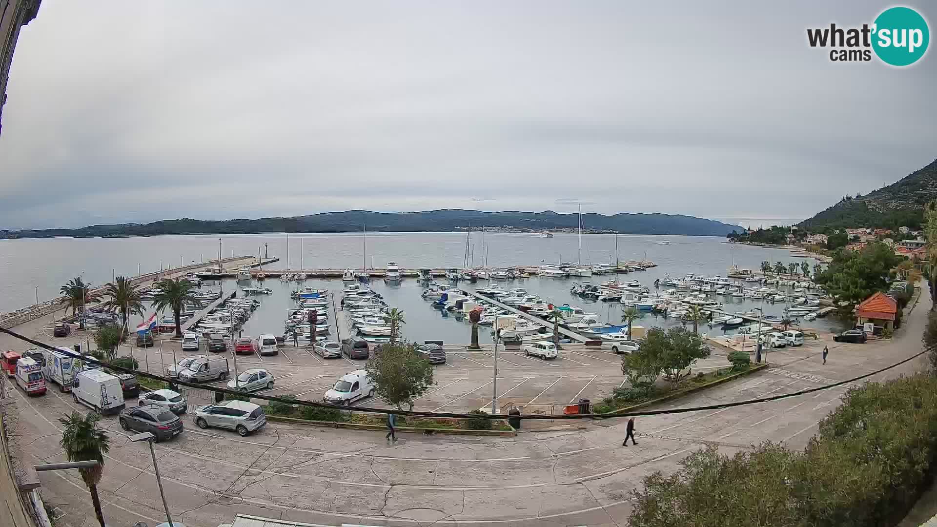 Webcam Sabbioncello Riva – Traghetto per Curzola in diretta