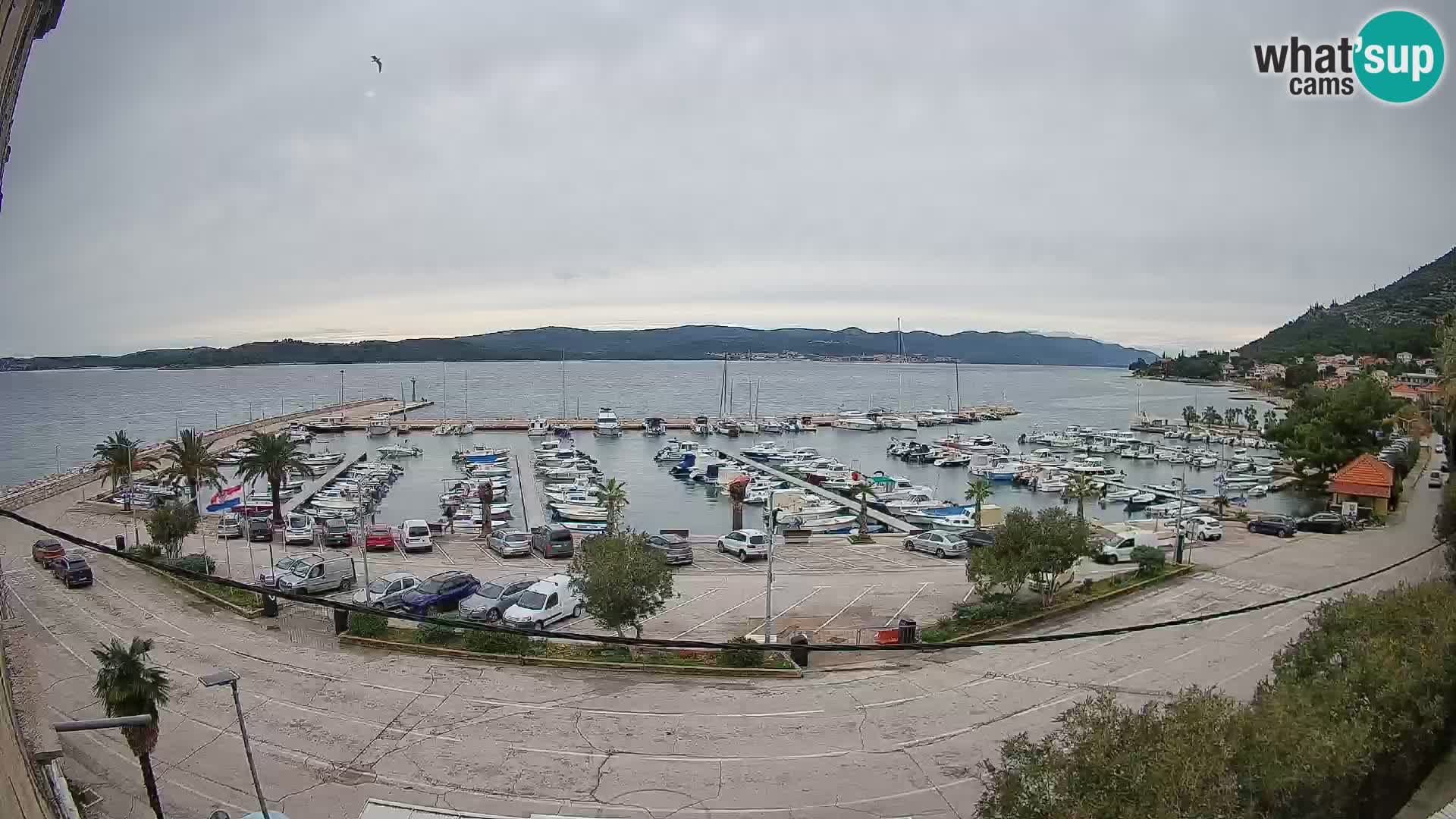 Webcam Sabbioncello Riva – Traghetto per Curzola in diretta