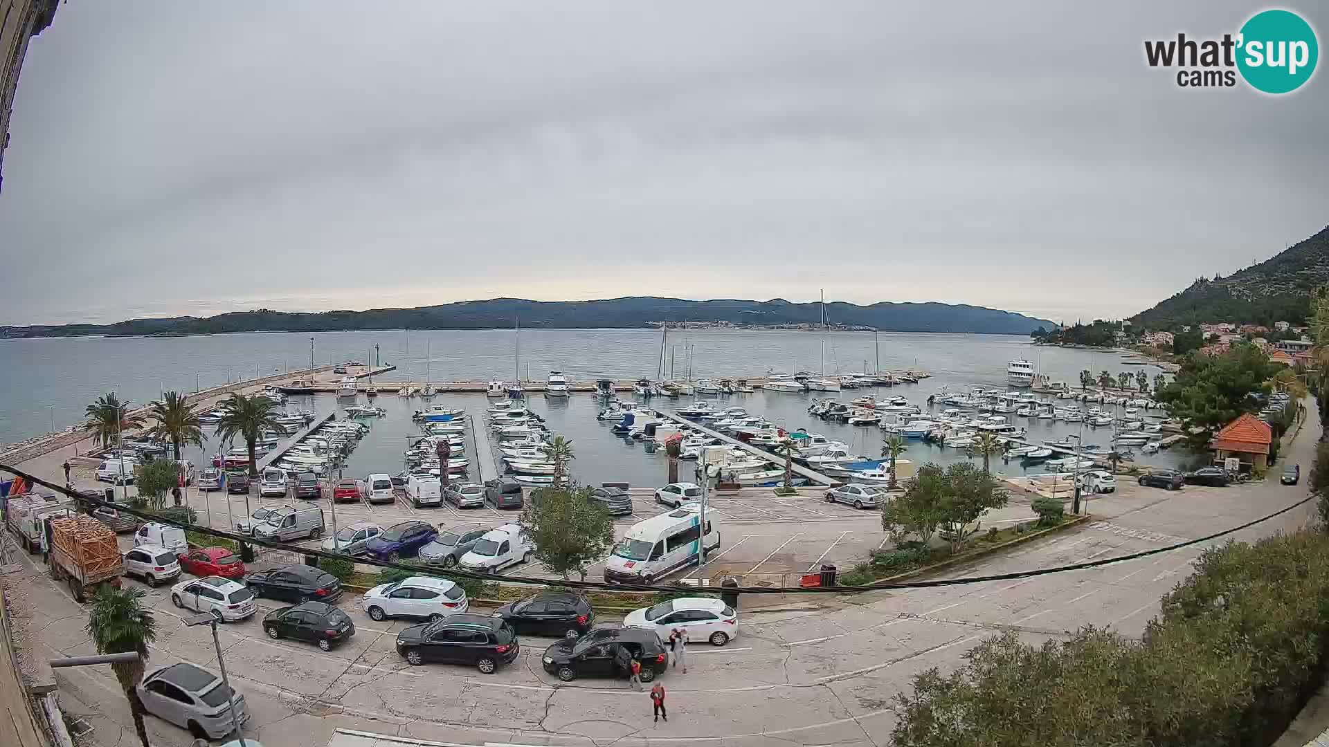 Webcam Orebić Riva – Ferry a Korčula en vivo