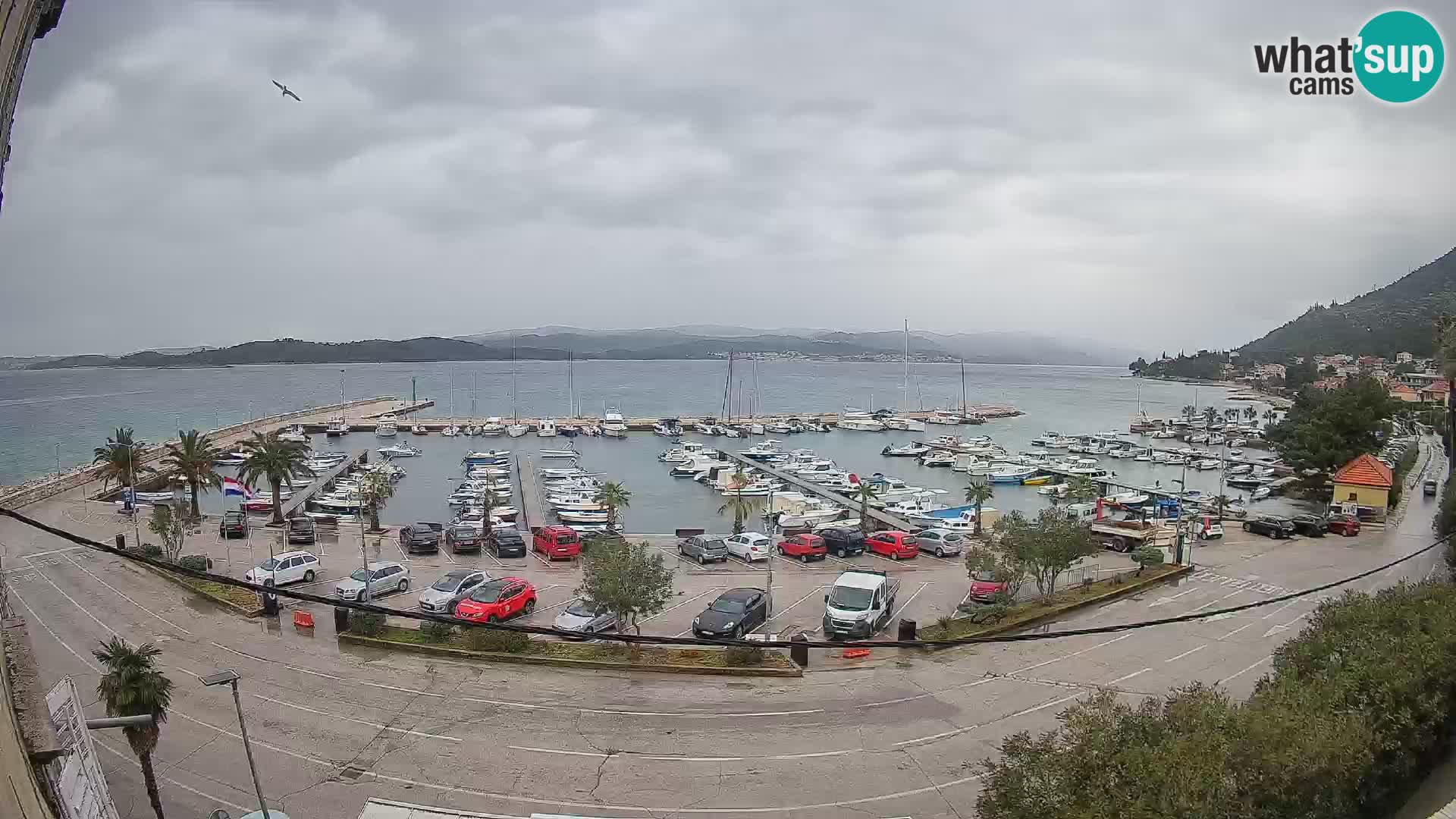 Webcam Orebić Riva – Ferry to Korčula Live