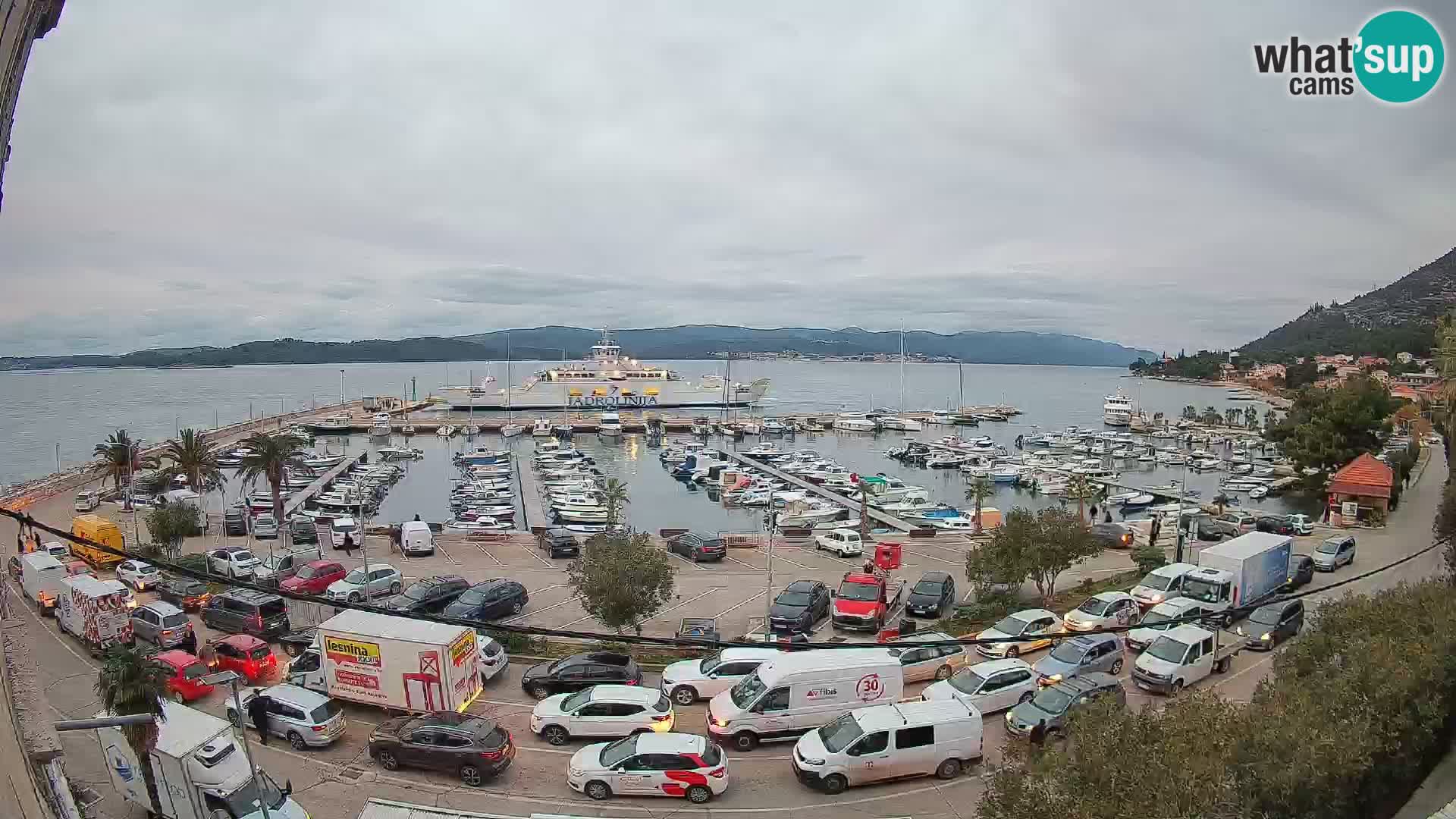 Webcam Sabbioncello Riva – Traghetto per Curzola in diretta