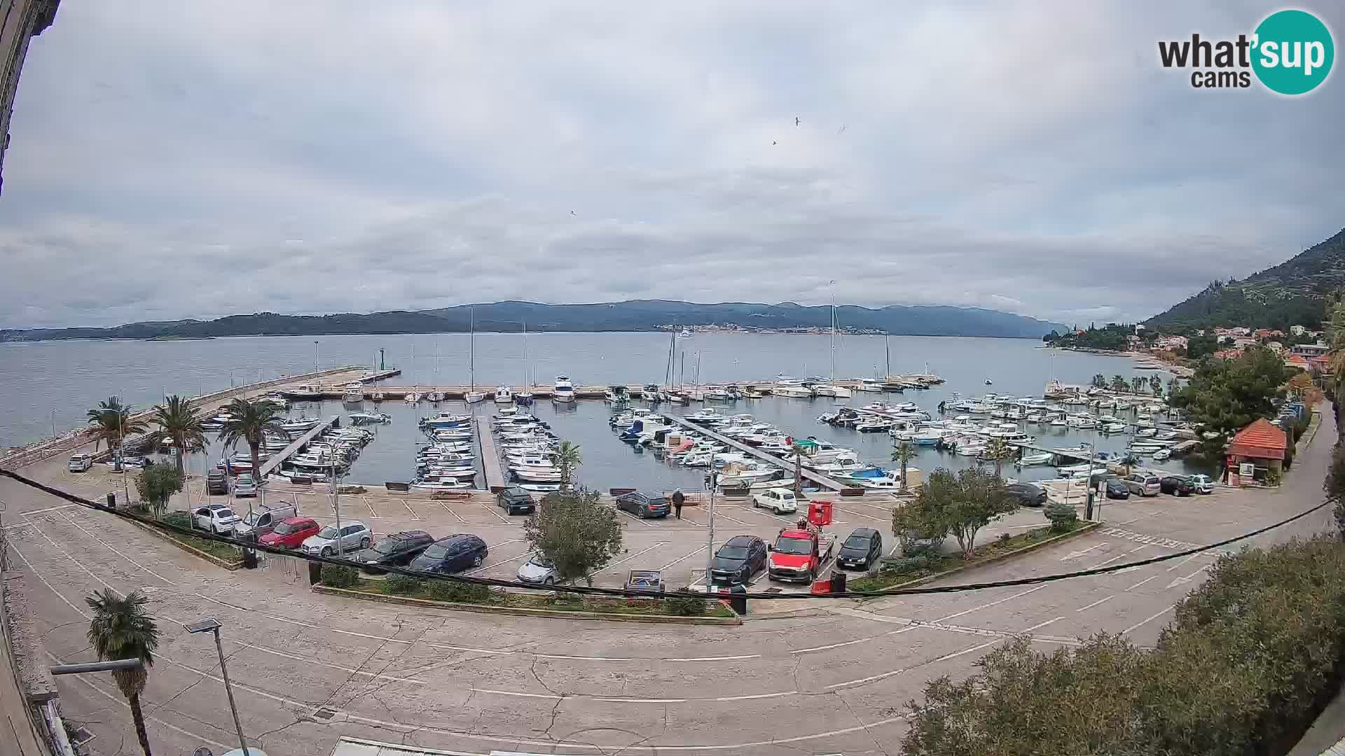 Web kamera Orebić Riva – Trajekt za Korčulu uživo