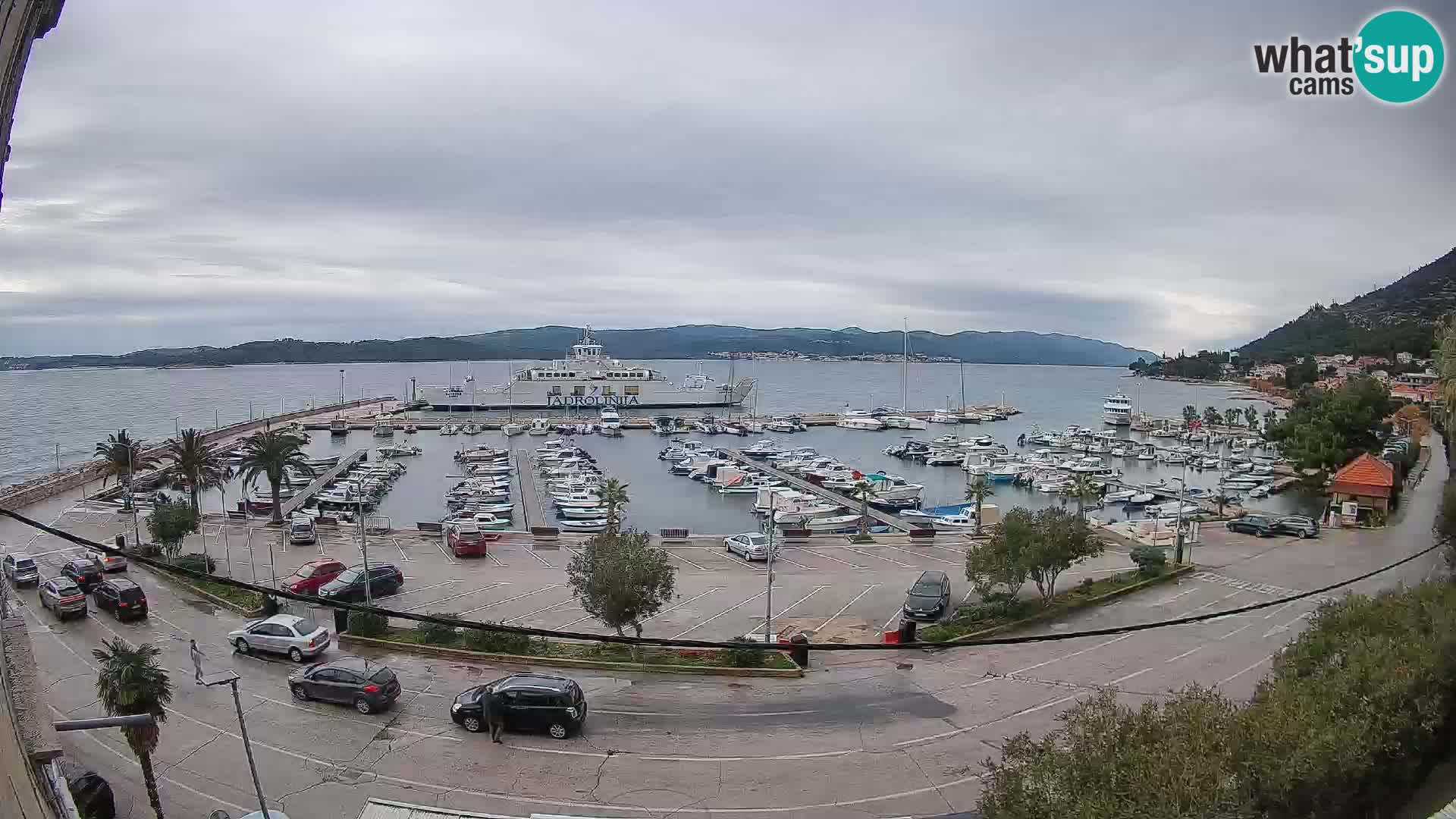 Webcam Orebić Uferpromenade – Fähre nach Korčula Live