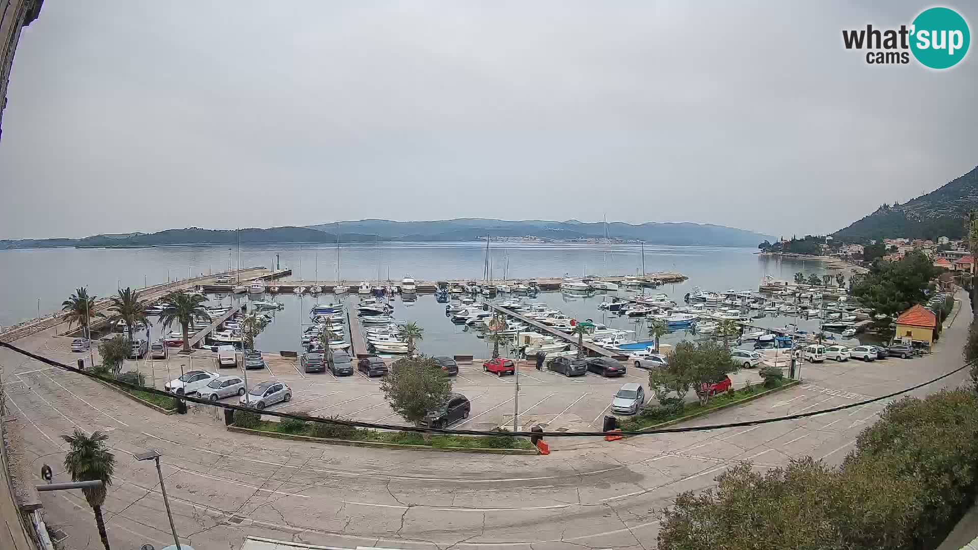 Webcam Sabbioncello Riva – Traghetto per Curzola in diretta