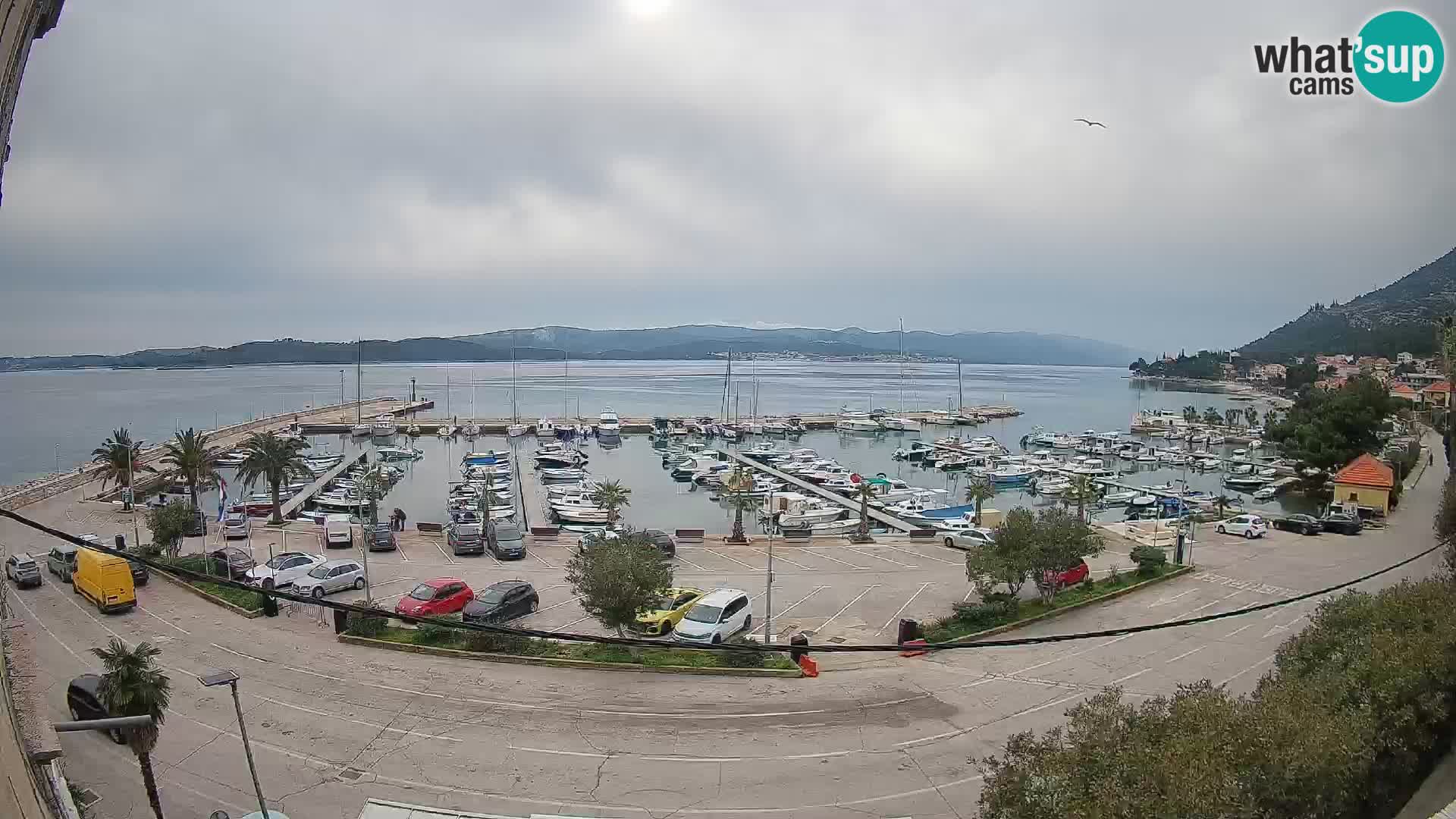 Webcam Orebić Riva – Ferry a Korčula en vivo