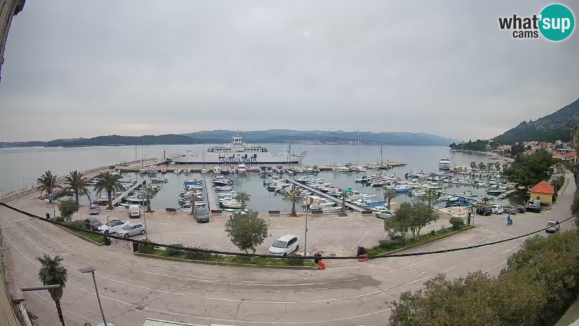 Webcam Sabbioncello Riva – Traghetto per Curzola in diretta