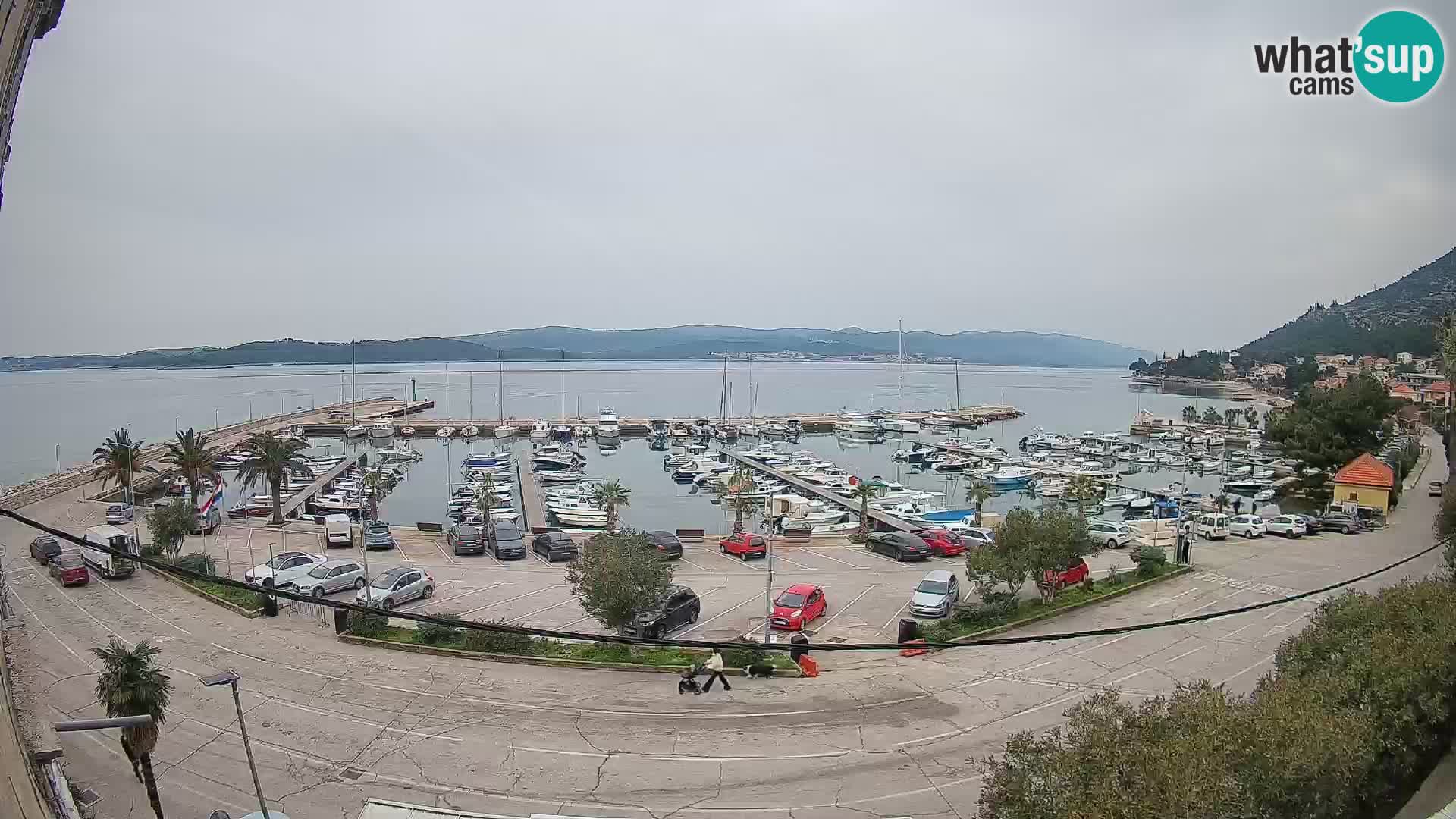 Webcam Orebić Riva – Ferry a Korčula en vivo