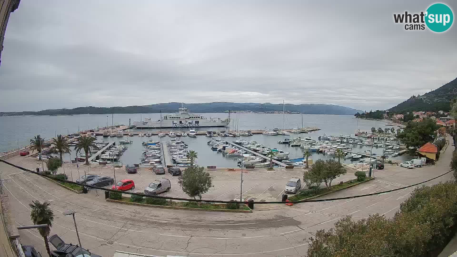 Webcam Orebić Riva – Ferry a Korčula en vivo