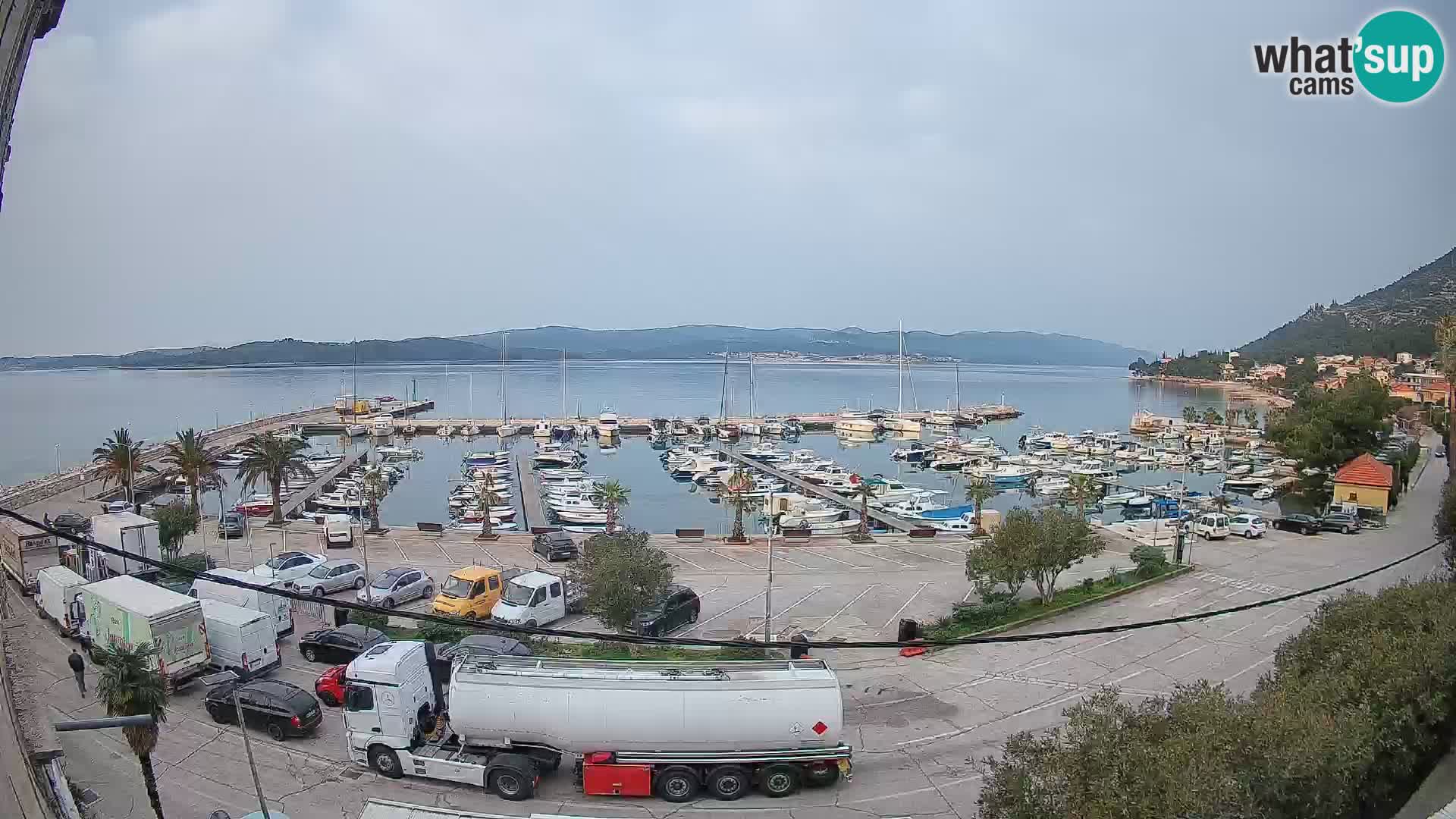 Webcam Orebić Riva – Ferry a Korčula en vivo