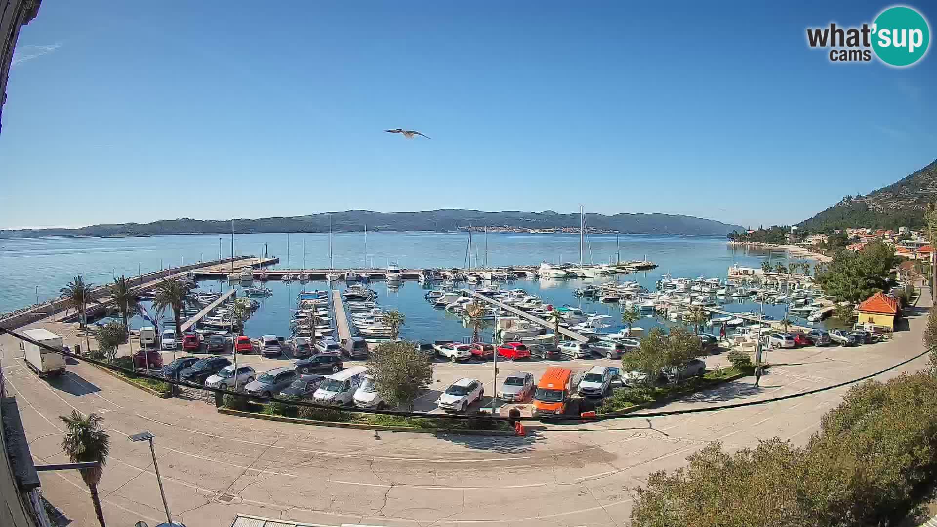 Spletna kamera Orebić Riva – Trajekt za Korčulo v živo