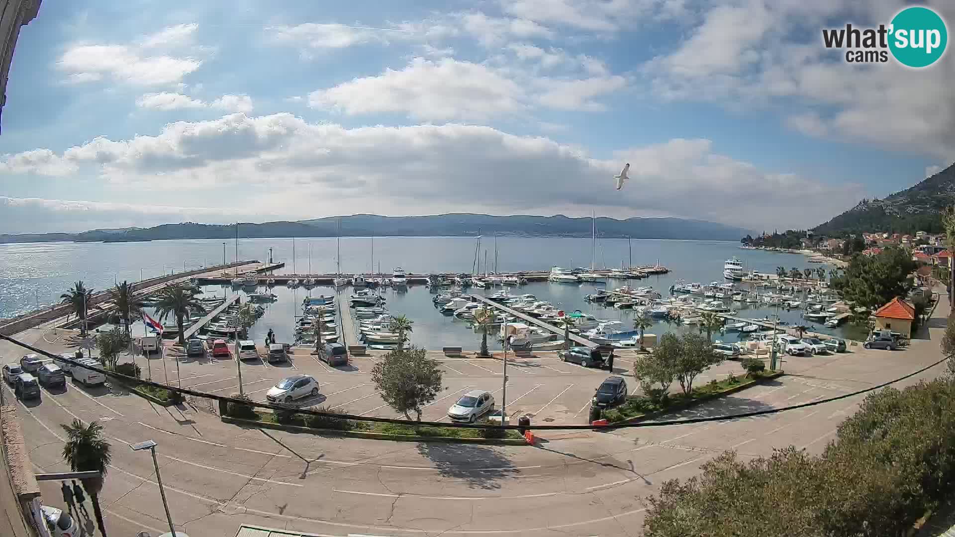 Web kamera Orebić Riva – Trajekt za Korčulu uživo