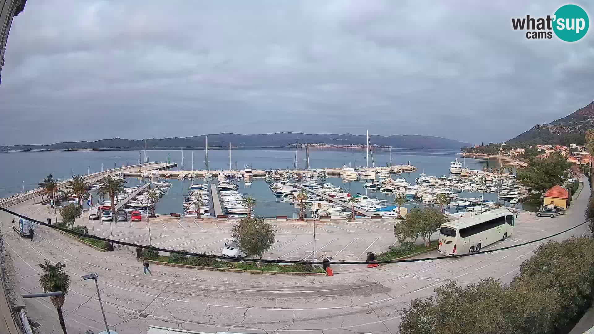 Webcam Sabbioncello Riva – Traghetto per Curzola in diretta