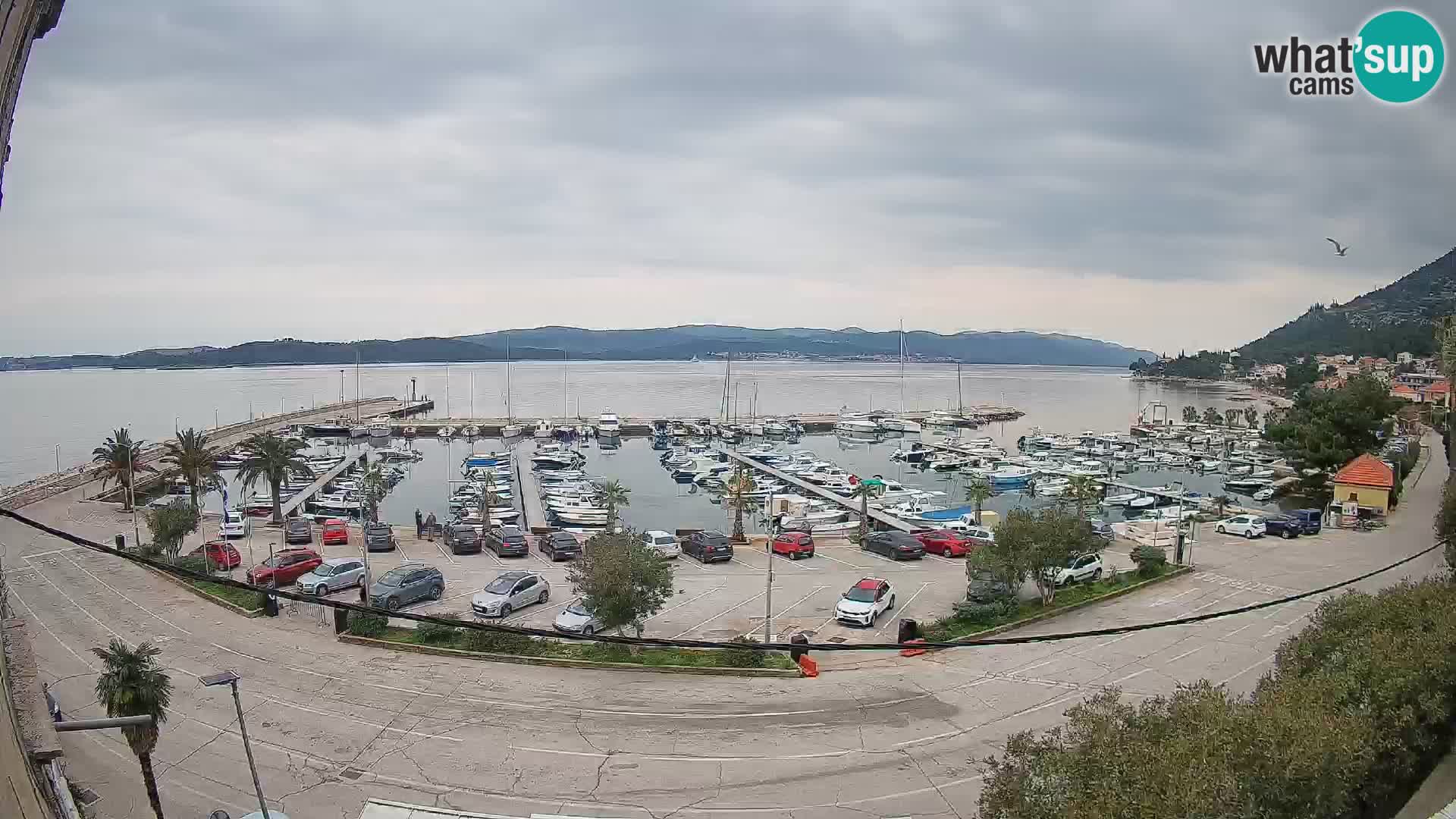 Webcam Orebić Riva – Ferry to Korčula Live