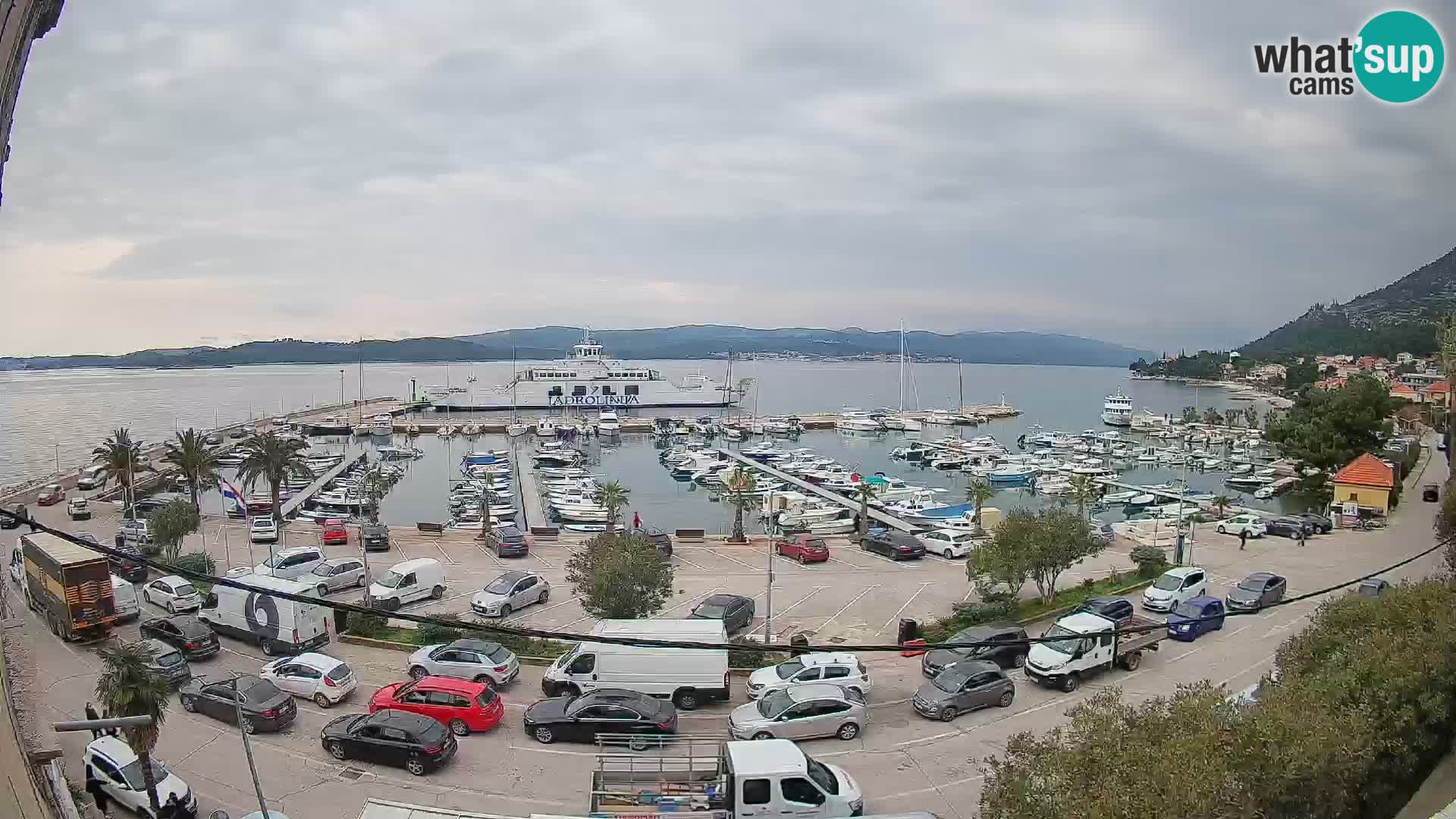Webcam Orebić Riva – Ferry a Korčula en vivo