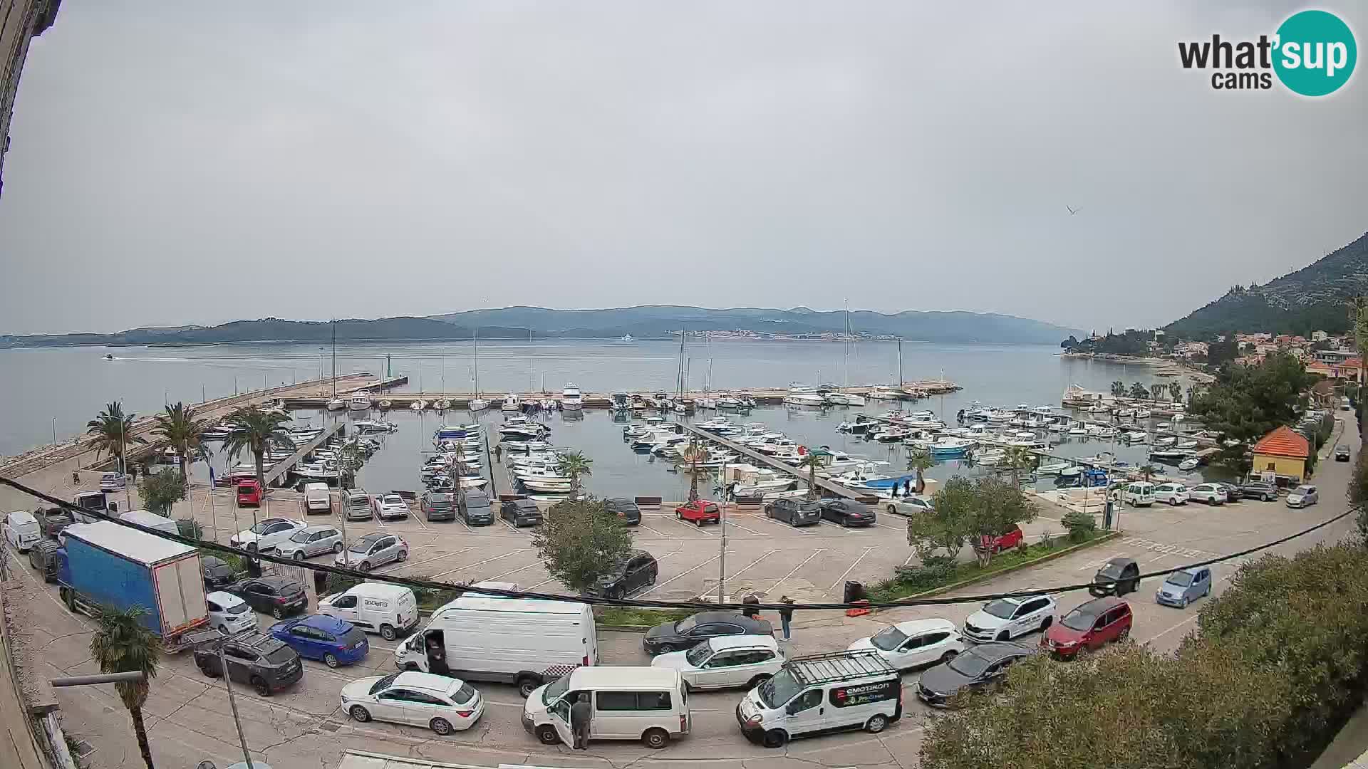 Webcam Sabbioncello Riva – Traghetto per Curzola in diretta