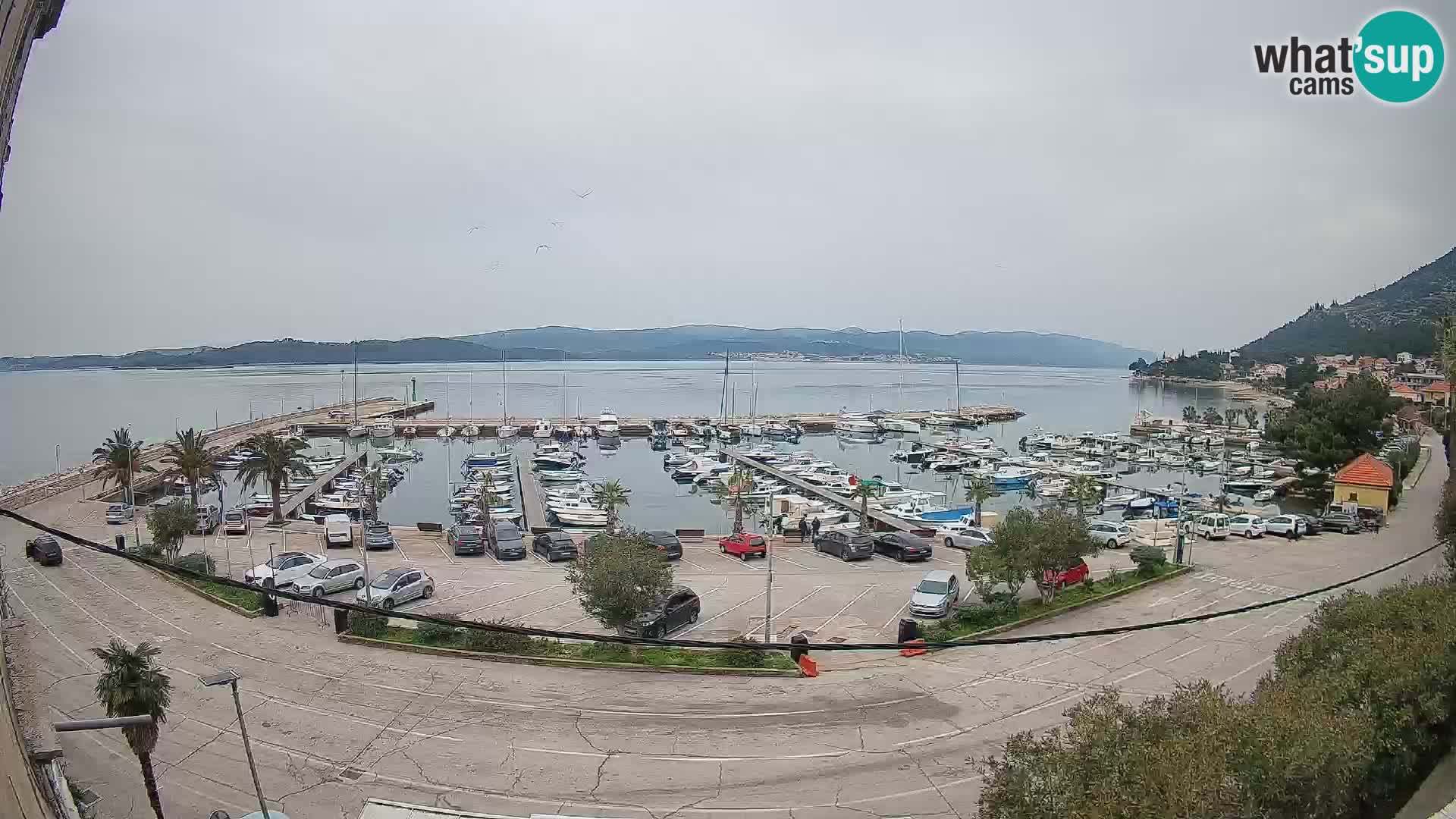 Webcam Orebić Uferpromenade – Fähre nach Korčula Live