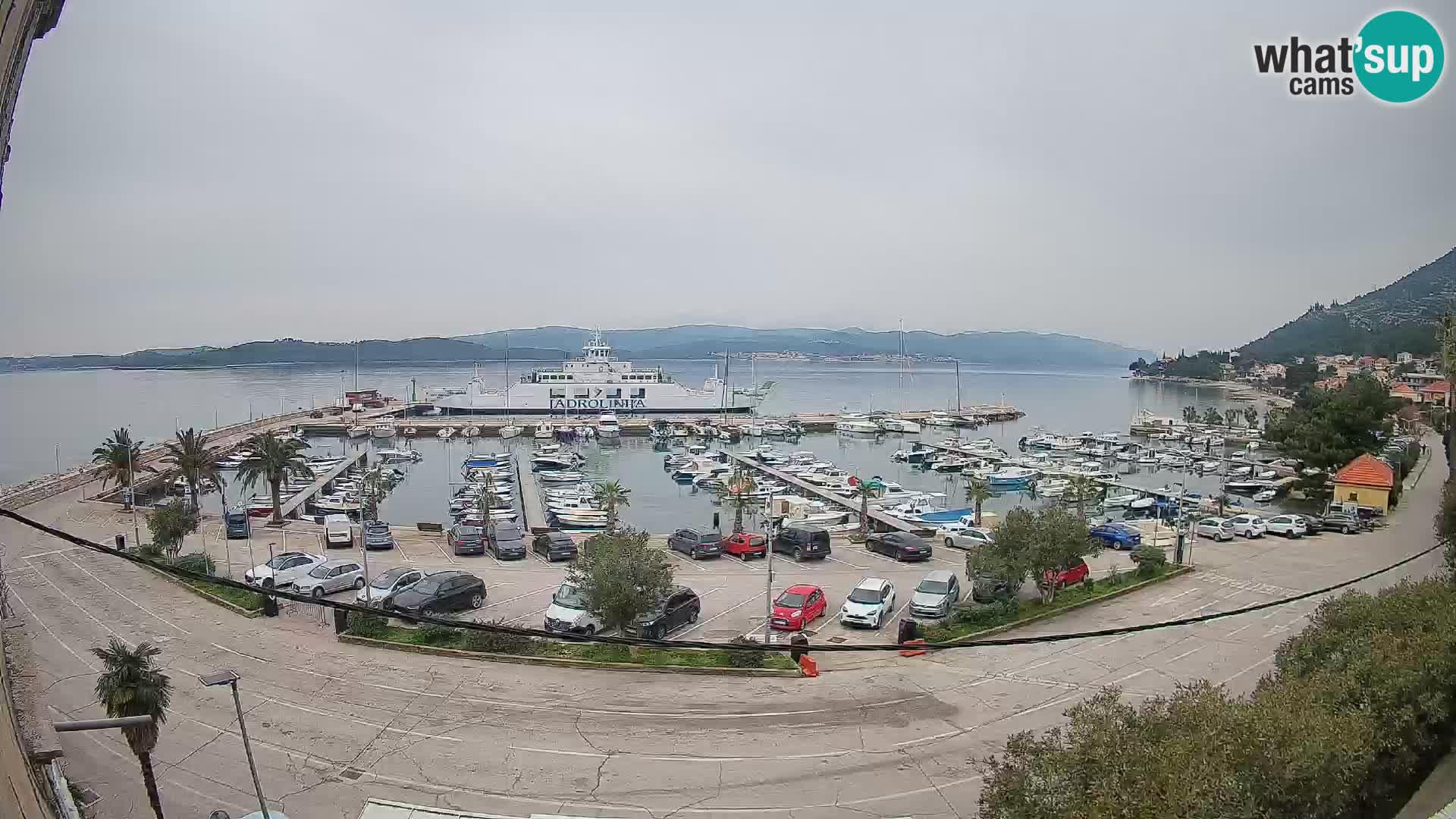 Webcam Sabbioncello Riva – Traghetto per Curzola in diretta