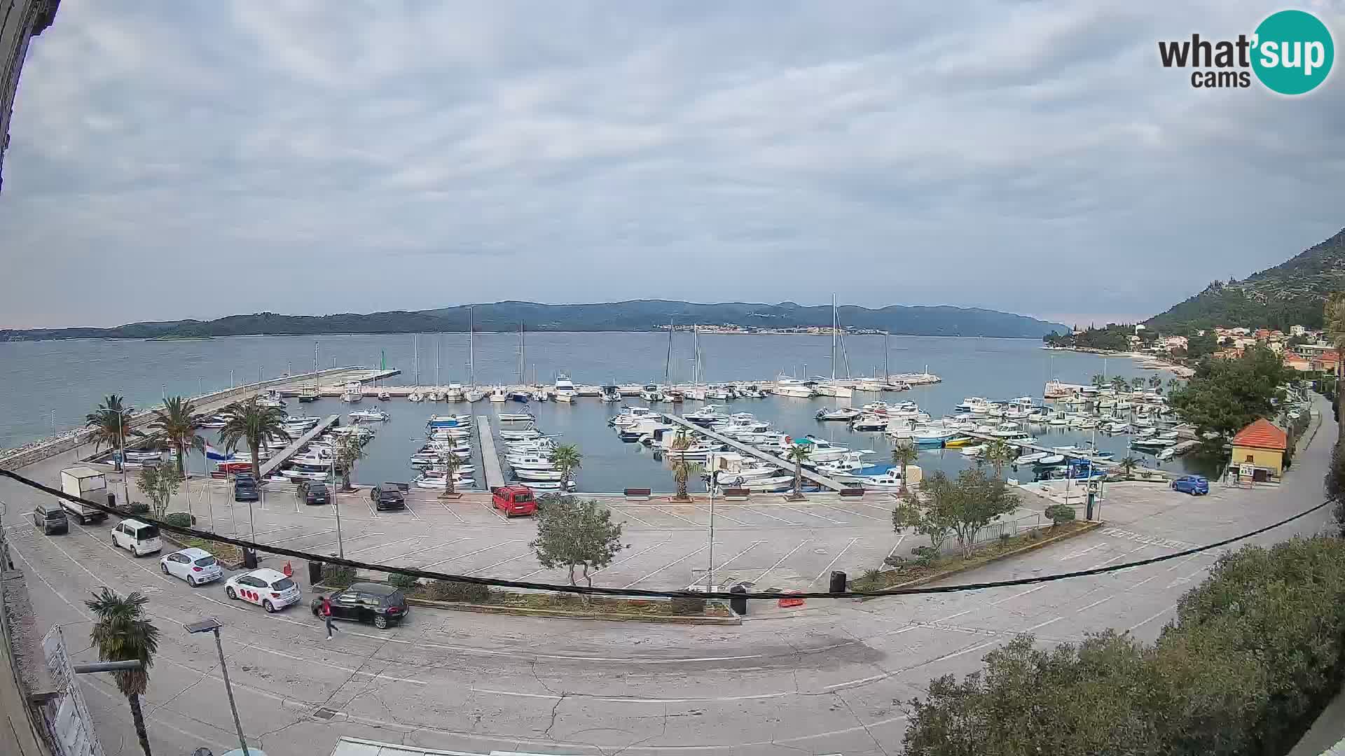 Webcam Sabbioncello Riva – Traghetto per Curzola in diretta