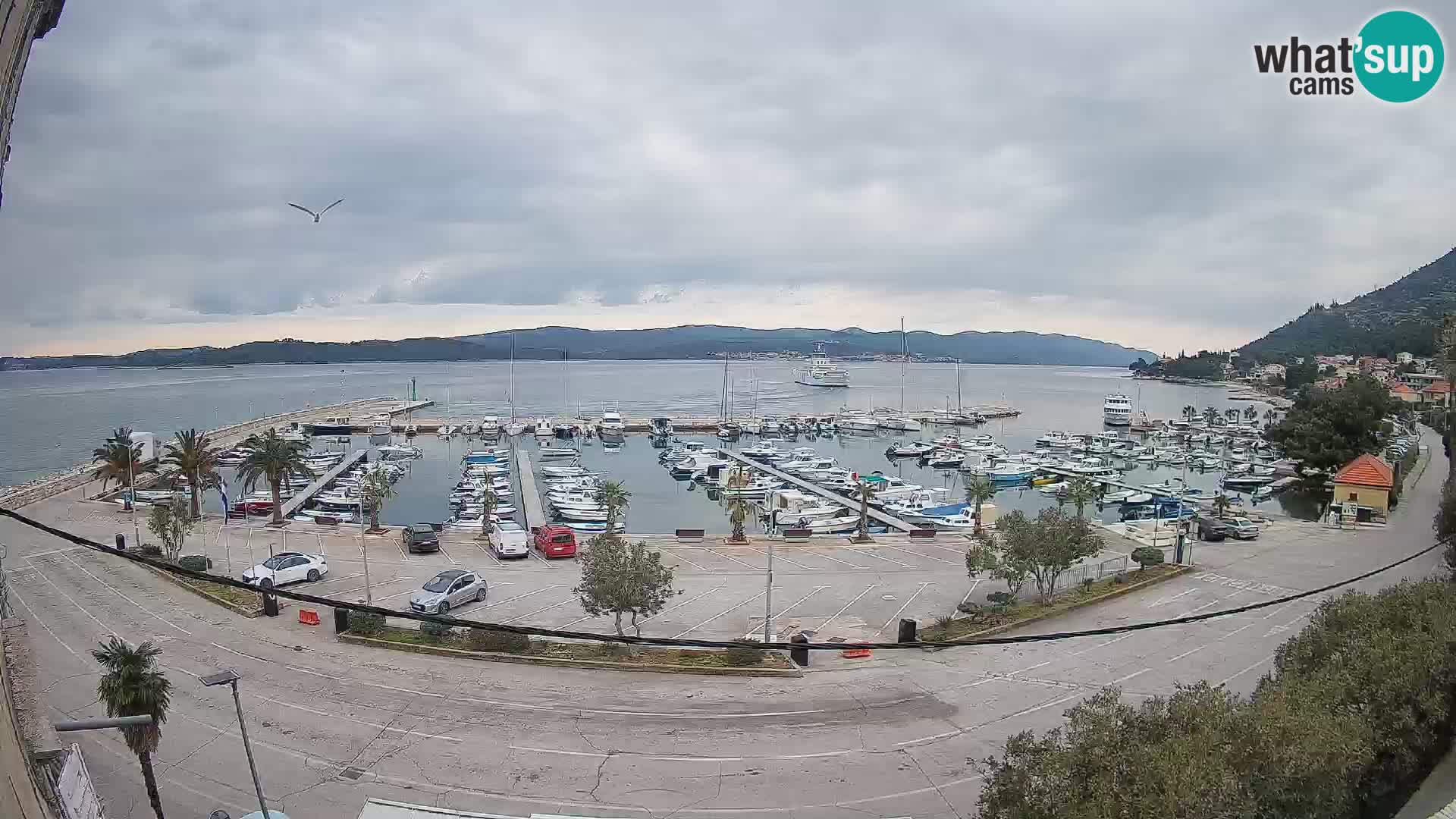 Webcam Orebić Uferpromenade – Fähre nach Korčula Live