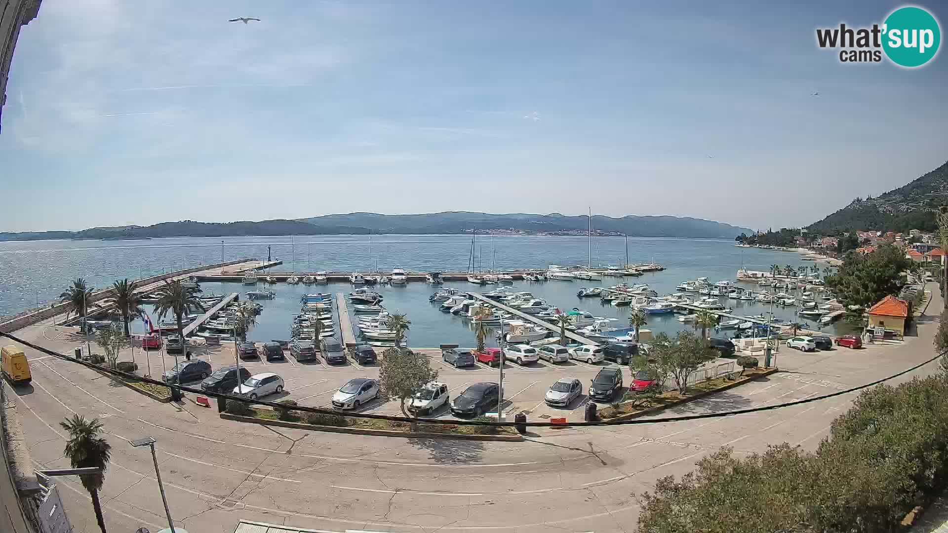 Webcam Sabbioncello Riva – Traghetto per Curzola in diretta