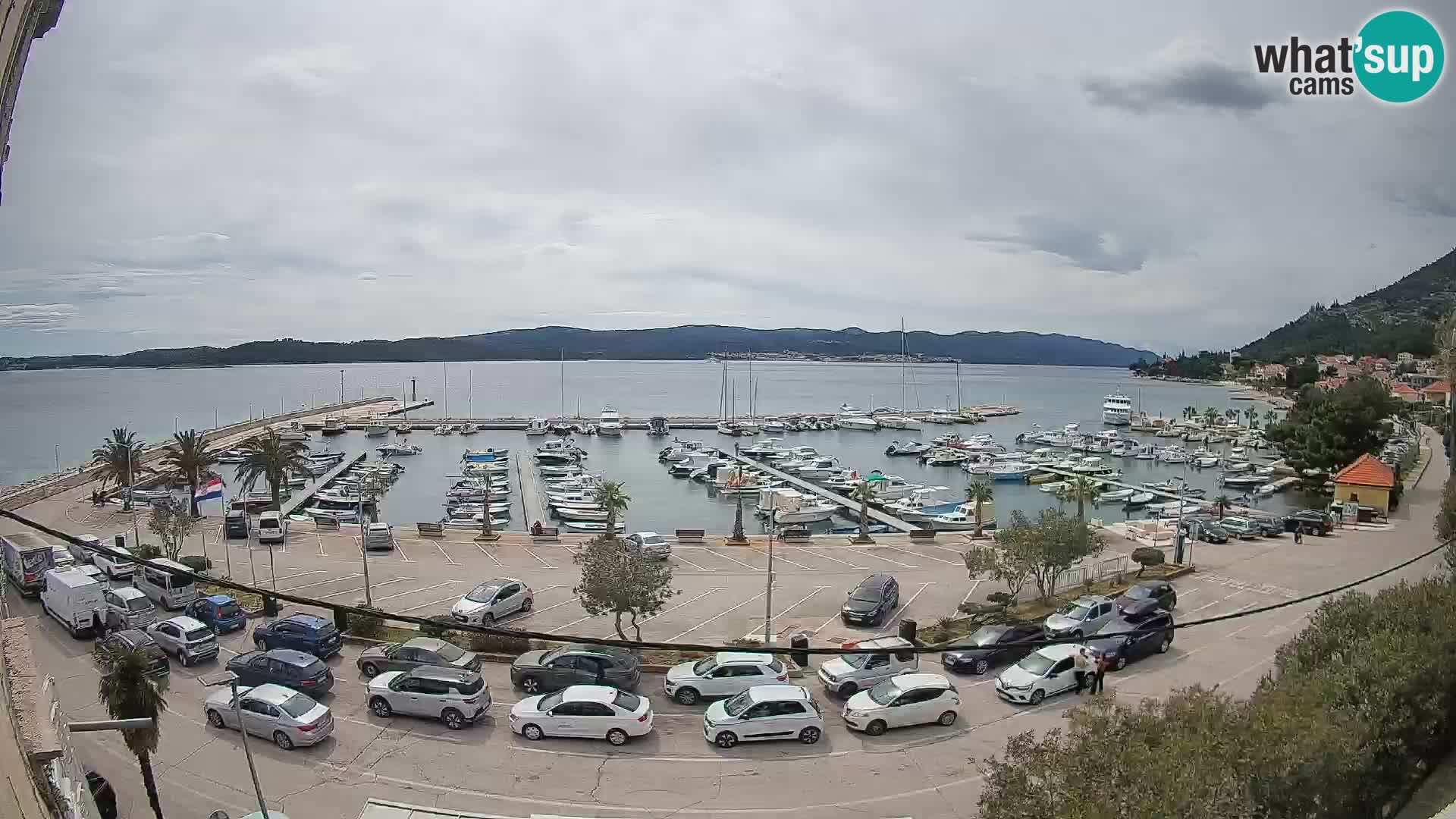 Webcam Sabbioncello Riva – Traghetto per Curzola in diretta