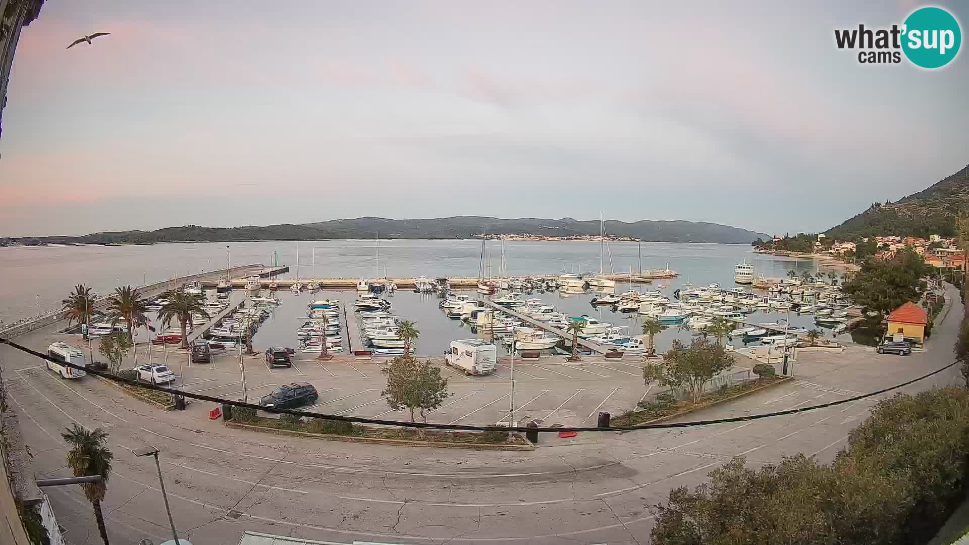 Webcam Orebić Riva – Ferry to Korčula Live