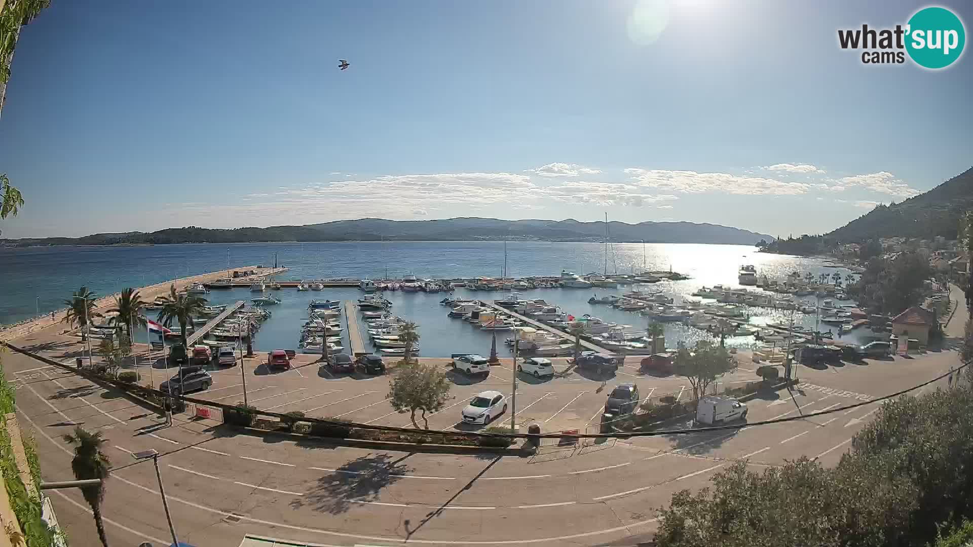 Webcam Orebić Riva – Ferry a Korčula en vivo