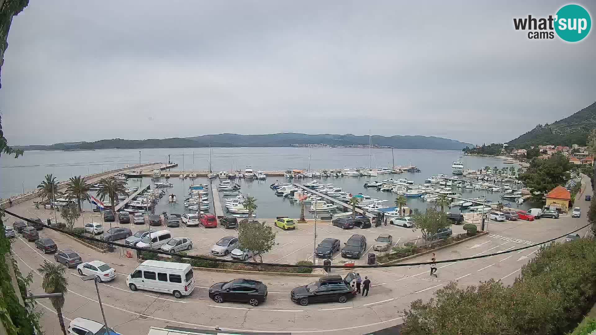 Webcam Sabbioncello Riva – Traghetto per Curzola in diretta
