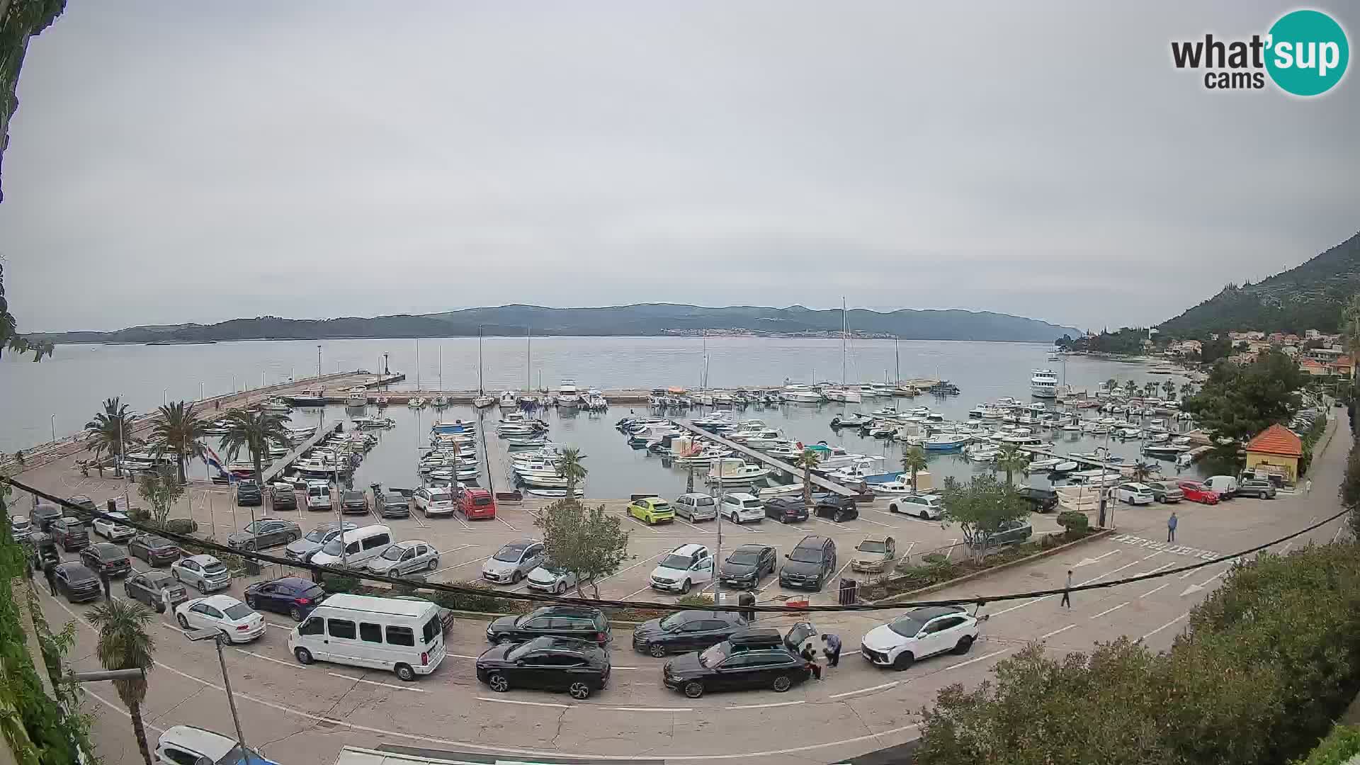 Webcam Orebić Riva – Ferry a Korčula en vivo