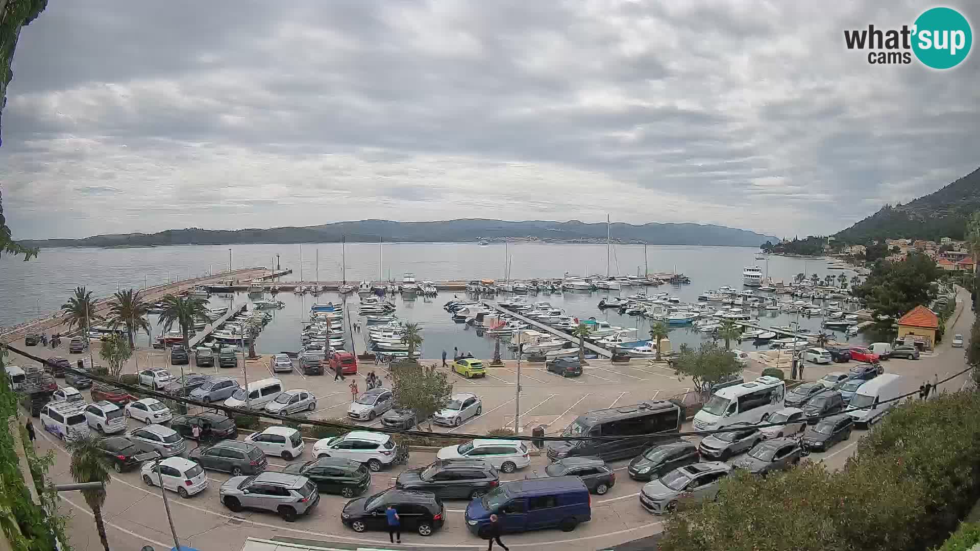 Webcam Sabbioncello Riva – Traghetto per Curzola in diretta