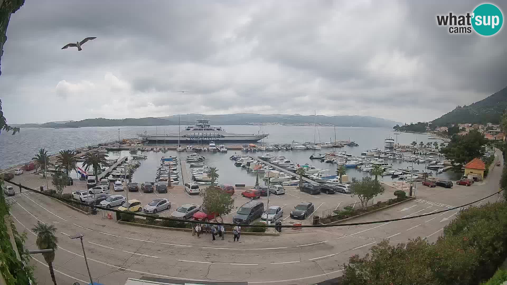 Webcam Orebić Uferpromenade – Fähre nach Korčula Live