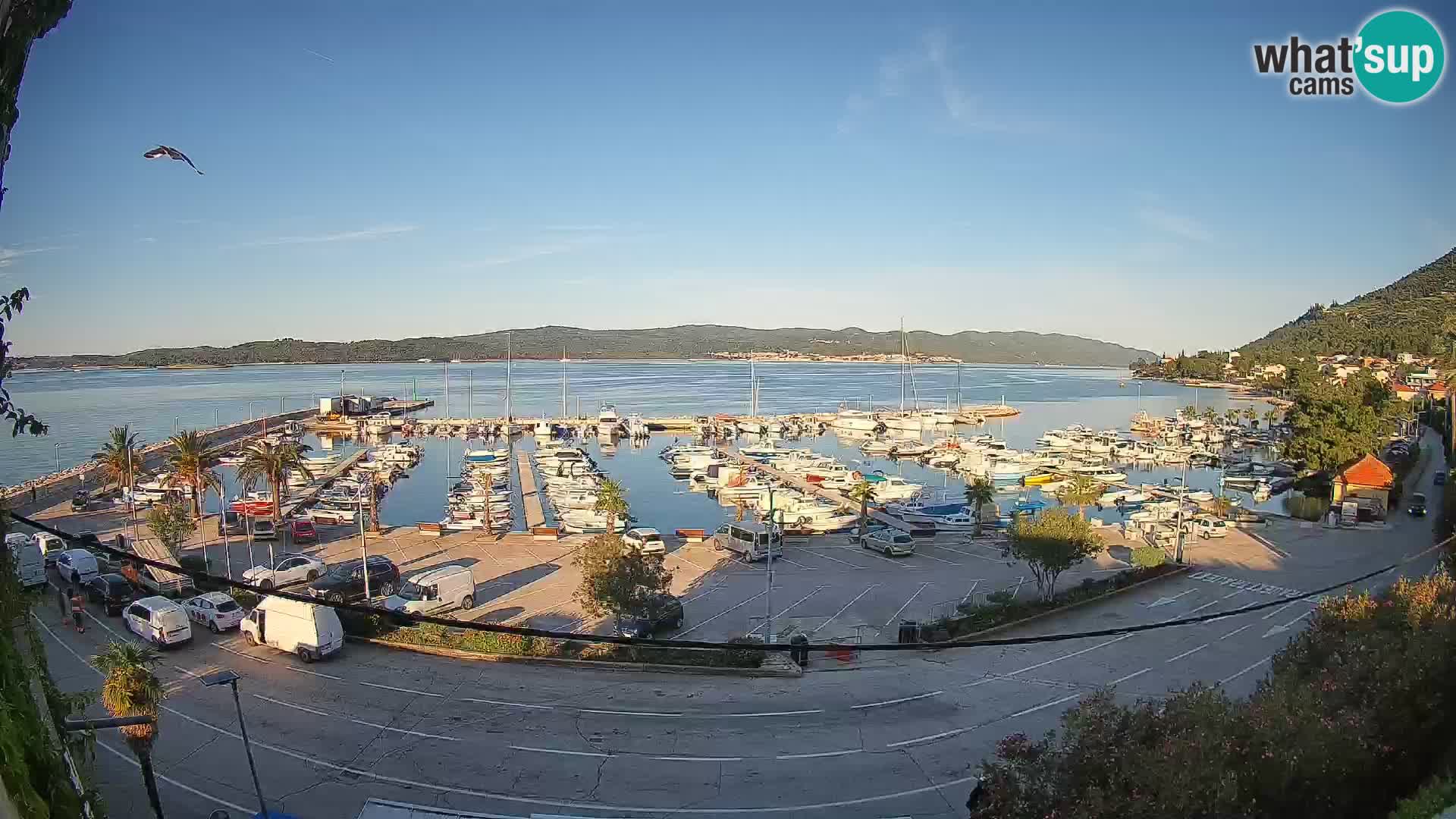 Web kamera Orebić Riva – Trajekt za Korčulu uživo